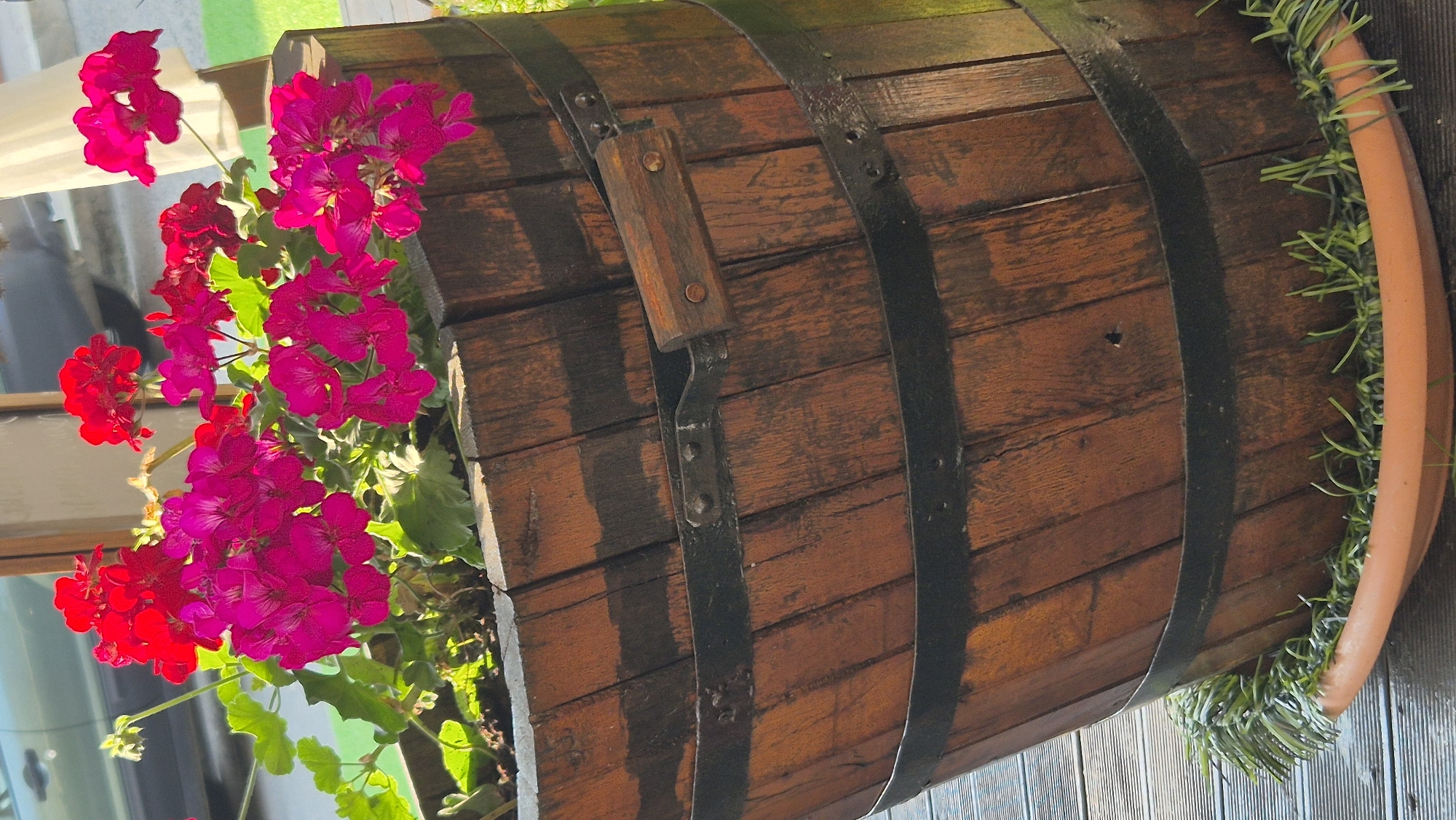 A vertical shot focuses on a wooden barrel planter filled with vibrant pink and red geraniums. The barrel, constructed from staves and reinforced with black metal bands, sits on a terracotta saucer. Artificial grass lines the base of the barrel. In the background, out of focus, is a hint of a light-colored awning and what appears to be a portion of a green vehicle, suggesting an outdoor setting, possibly a restaurant or garden area in Ravda, Bulgaria. The lighting indicates it is daytime, with shadows suggesting the sun is at an angle. There are no people visible in the image.