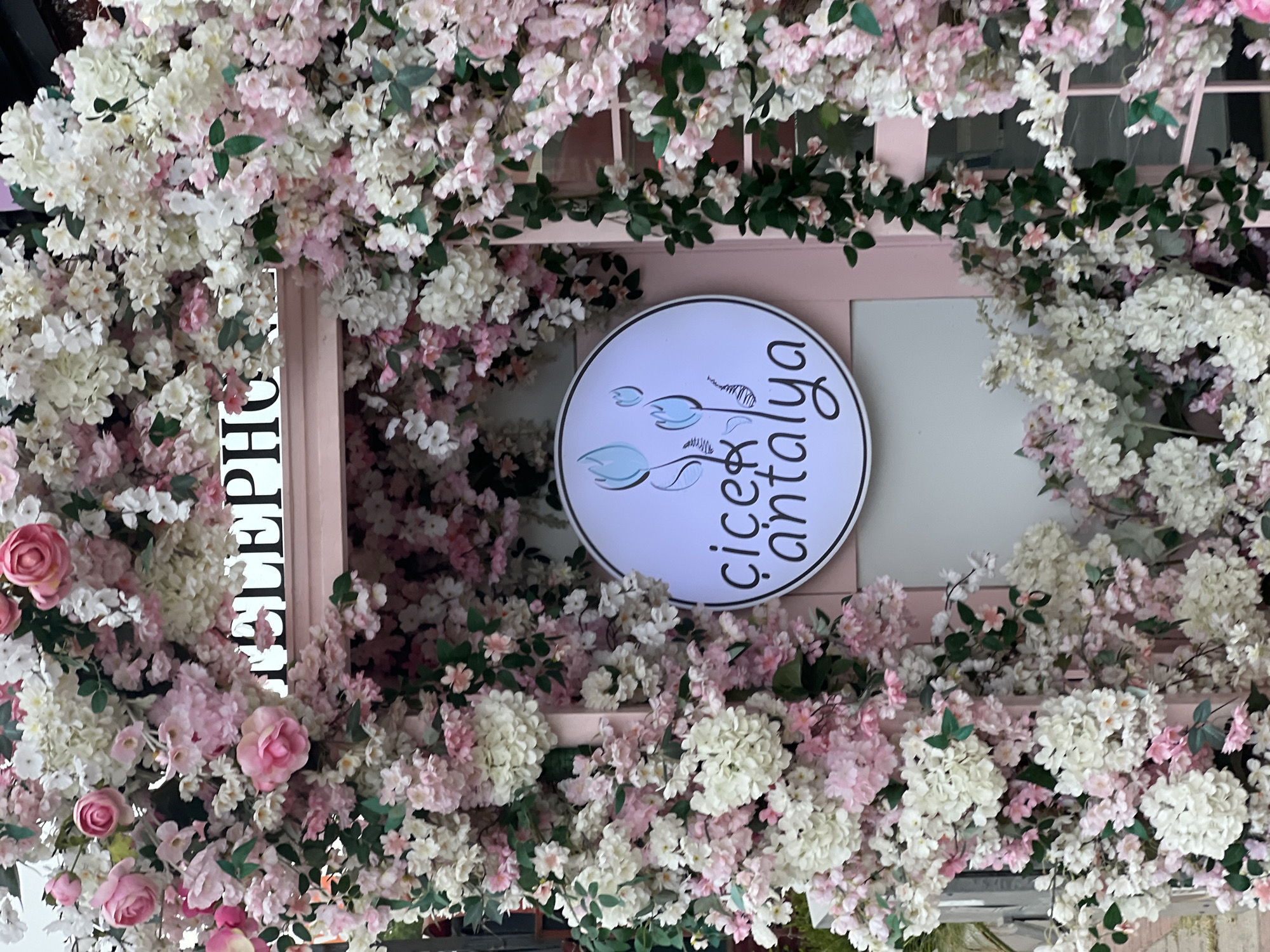 A circular white sign with a black border is displayed amongst a vibrant arrangement of artificial pink and white flowers. The sign features a black cursive inscription that reads "çiçek antalya", which translates to "flower Antalya" in Turkish, indicating a flower shop or a floral-themed business. Two stylized blue flowers are depicted on the left side of the sign. The flowers are densely packed, creating a lush and colorful frame around the central sign. Some of the flowers appear to be roses and hydrangeas, with delicate petals and varying shades of pink and white. Green leaves are interspersed throughout the floral arrangement, adding depth and realism.
To the left of the sign, a vertical white strip with black lettering is partially visible, suggesting it could be part of a larger sign or display. The text on this strip appears to spell out "ELEPH", with the remaining letters obscured by the flowers. The overall scene suggests a shop entrance or a decorative display designed to attract customers. The setting is likely outdoors, given the abundance of flowers and the bright lighting. The abundance of flowers creates a cheerful and inviting atmosphere, possibly in a Mediterranean location like Antalya, Turkey, as suggested by the sign. There are no people visible in the image, and the time of day and weather cannot be determined.