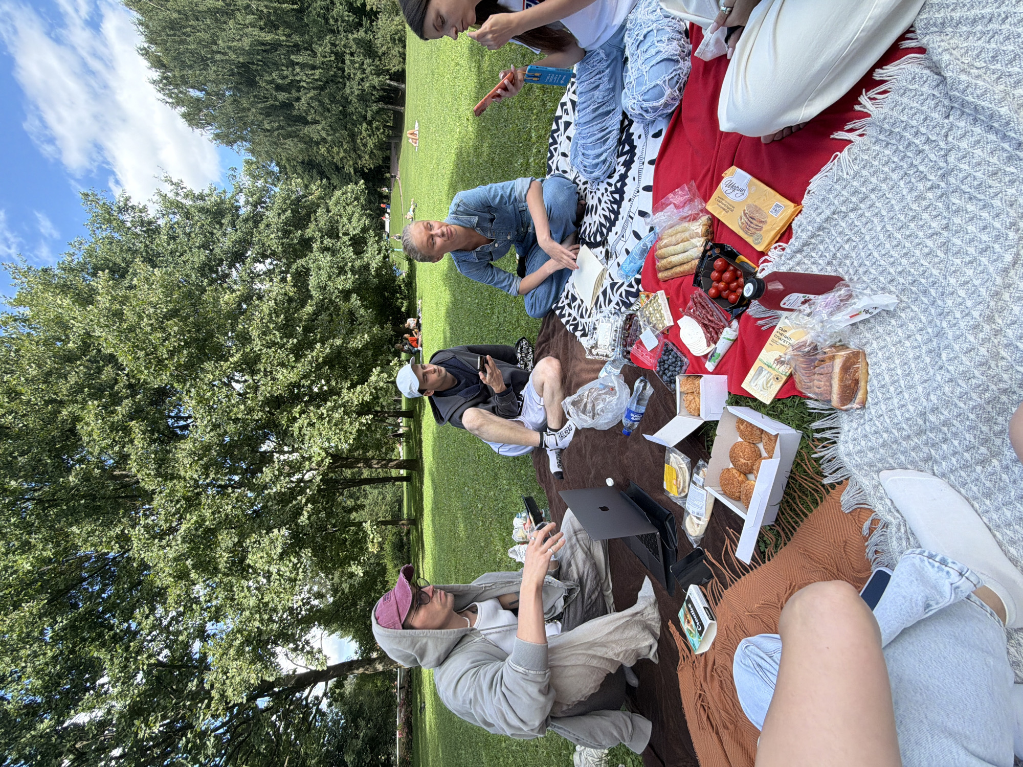 Four young adults are having a picnic in a park. One man in a grey hoodie and pink cap is looking at a laptop. Another man in a black hoodie and white shorts is looking at his phone. A woman in a denim jumpsuit is reading a book. Another woman in a white top and ripped jeans is looking at her phone. The picnic blanket is laden with food including bread, pastries, fruits, and drinks. The park appears to be well-maintained with green grass and tall trees. The sky is blue with scattered clouds. The overall scene suggests a casual and relaxed atmosphere. It is plausible this park is in Saint Petersburg, Russia, given the historical context of such activities in large urban parks.