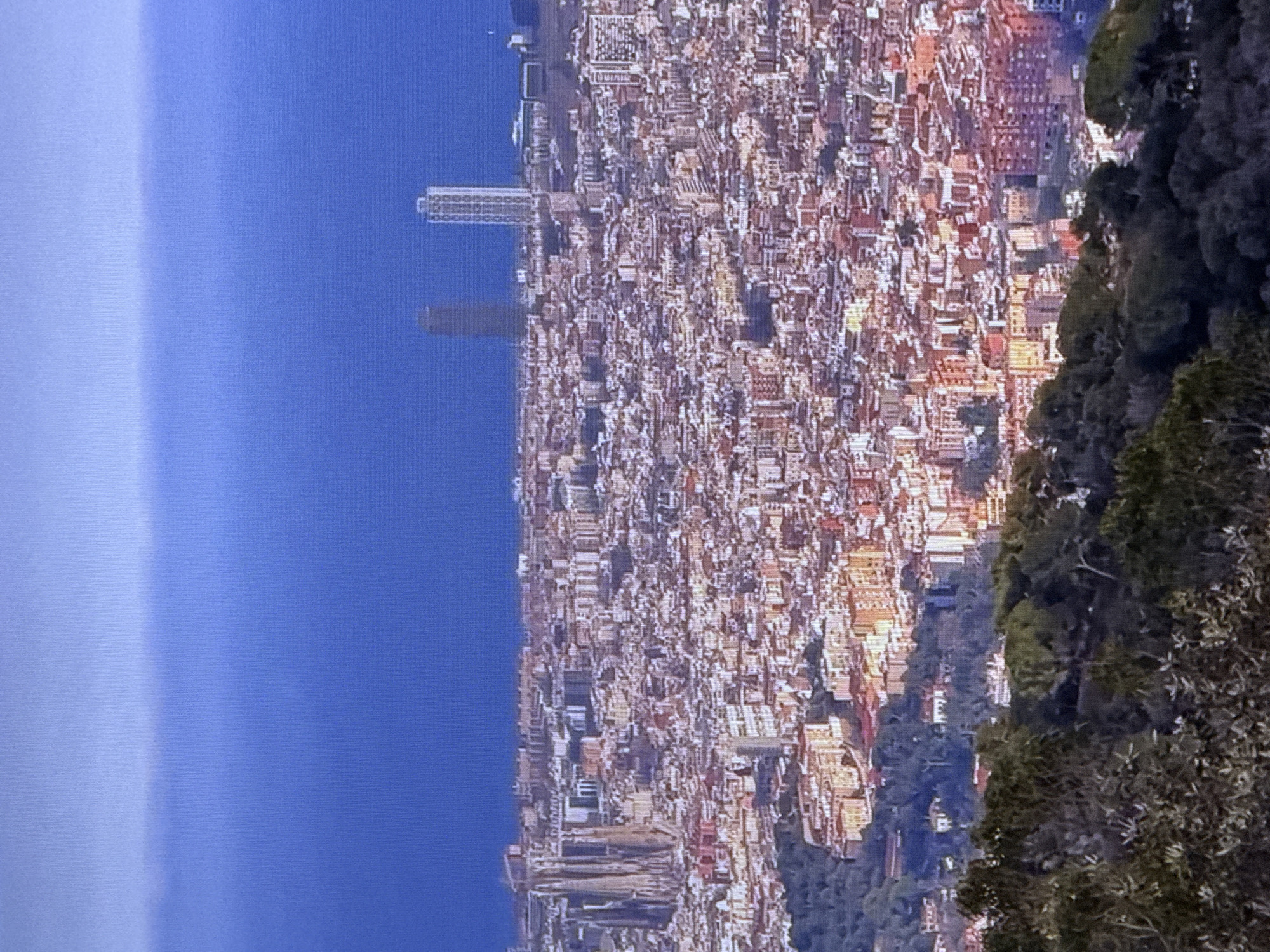 The image depicts a panoramic view of a densely populated city with a large body of water in the background. Dominating the cityscape is a prominent, ornate cathedral-like structure with tall spires, resembling the Sagrada Familia. Beside it, further into the city, stand two modern skyscrapers, one tall and slender and the other wider with a grid-like facade. The city is characterized by a multitude of buildings with reddish-brown and white facades, tightly packed together, suggesting a sprawling urban environment. In the foreground, a verdant hillside covered in trees and foliage obscures the lower portion of the city. The sky transitions from a light blue haze at the horizon to a deeper blue towards the top of the frame, hinting at a clear day. The lighting suggests either early morning or late afternoon, with a warm, golden hue cast upon some of the buildings.
