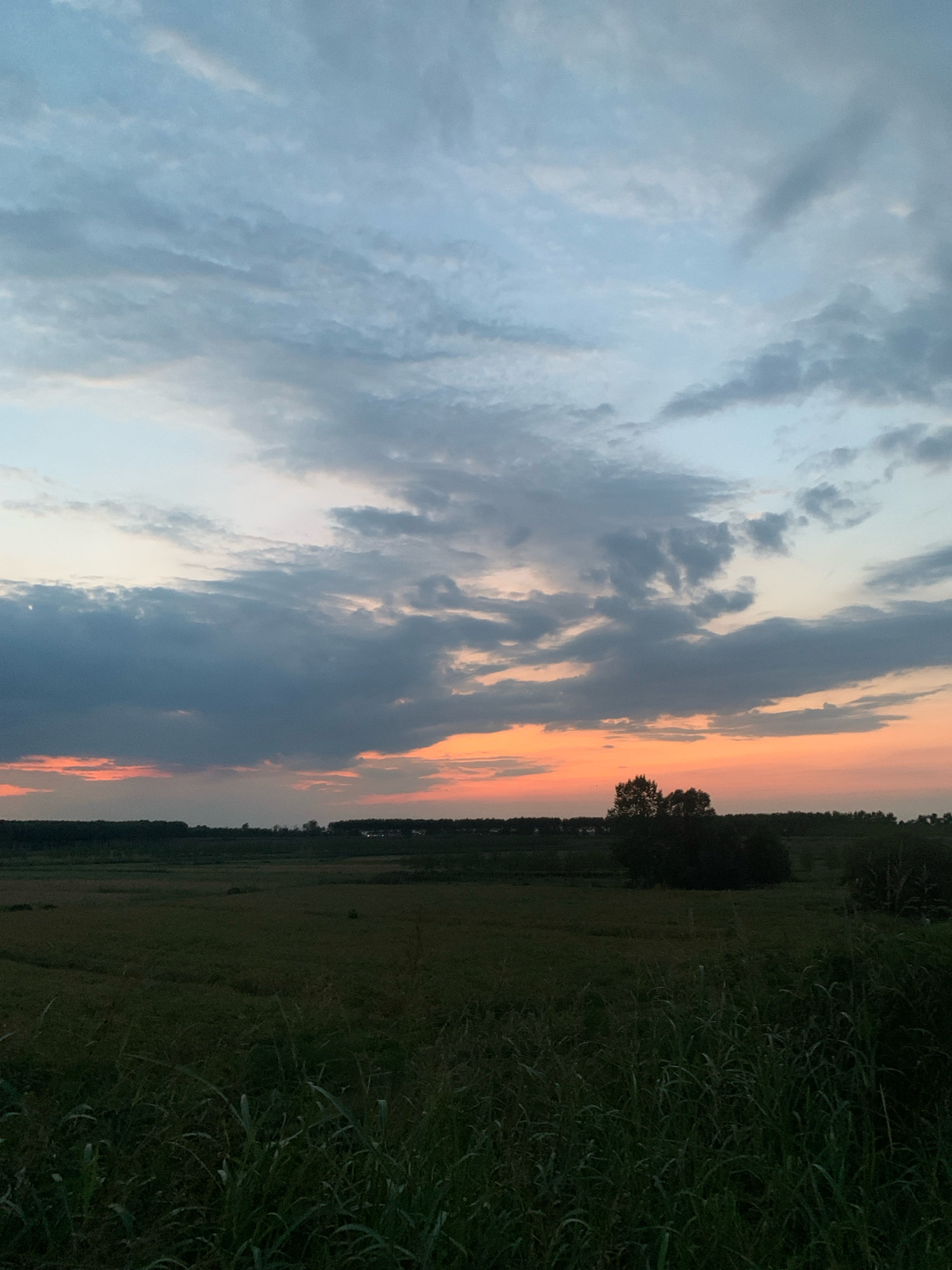 This is a landscape photograph taken during dusk. The sky is filled with a mix of clouds, ranging from light blue at the top to darker grays and oranges closer to the horizon. The sunset casts a warm glow, with streaks of pink and orange visible. Below the sky, a flat expanse of land stretches across the frame. This land appears to be a field, with some areas darker green, suggesting foliage or crops. In the distance, a line of trees and possibly some buildings form a silhouette against the fading light. The foreground is dominated by tall, dark green grass. The overall mood is serene and natural. The location is not specified in the image.