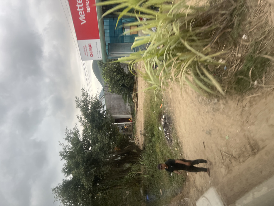 An outdoor scene in the city of Myui, Vietnam, is depicted under an overcast sky. A dirt path occupies the foreground and middle ground, appearing to fork toward the center. In the lower left foreground, a concrete curb is visible. An adult male stands on the left side of the dirt path, facing towards the right. He wears a black t-shirt, dark pants, and a dark baseball cap, with a dark object resembling a cigar or pipe in his mouth. Scattered debris, including white and dark fragments, is present along the path.
In the middle ground on the right, a single-story commercial building with a red "viettel telecom" sign and "CHỊ MAI" in white text below is visible. The building features blue-tinted glass paneling. To the left and slightly behind this building, a light gray concrete structure with a brown door stands. Piles of light-colored wooden planks are stacked horizontally near the base of the gray building. Dense green trees and foliage are present on the left side of the frame, while tall, light green, reedy plants occupy the right foreground. Hills or mountains are visible in the distant background, with power lines crossing the upper right.