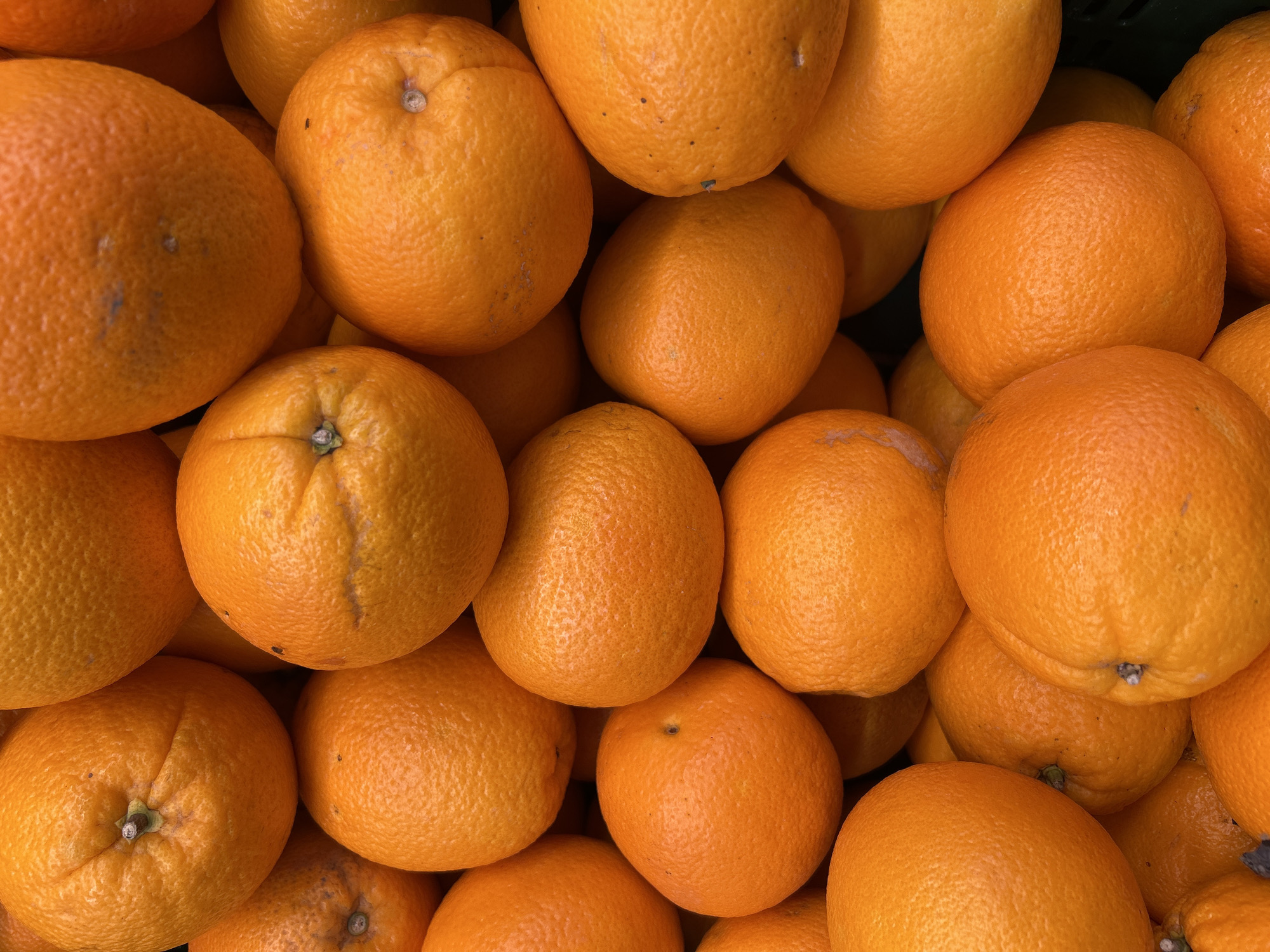 The image is a close-up, overhead view of a pile of bright orange oranges. The fruits are densely packed, with some in sharp focus and others slightly blurred due to the shallow depth of field. Their textured skins are clearly visible, and some have small imperfections or blemishes. The lighting appears natural and even, highlighting the vibrant color of the oranges. There is no visible background or context to suggest a specific location within Detmold, Germany, or any other city. The image solely focuses on the produce itself.