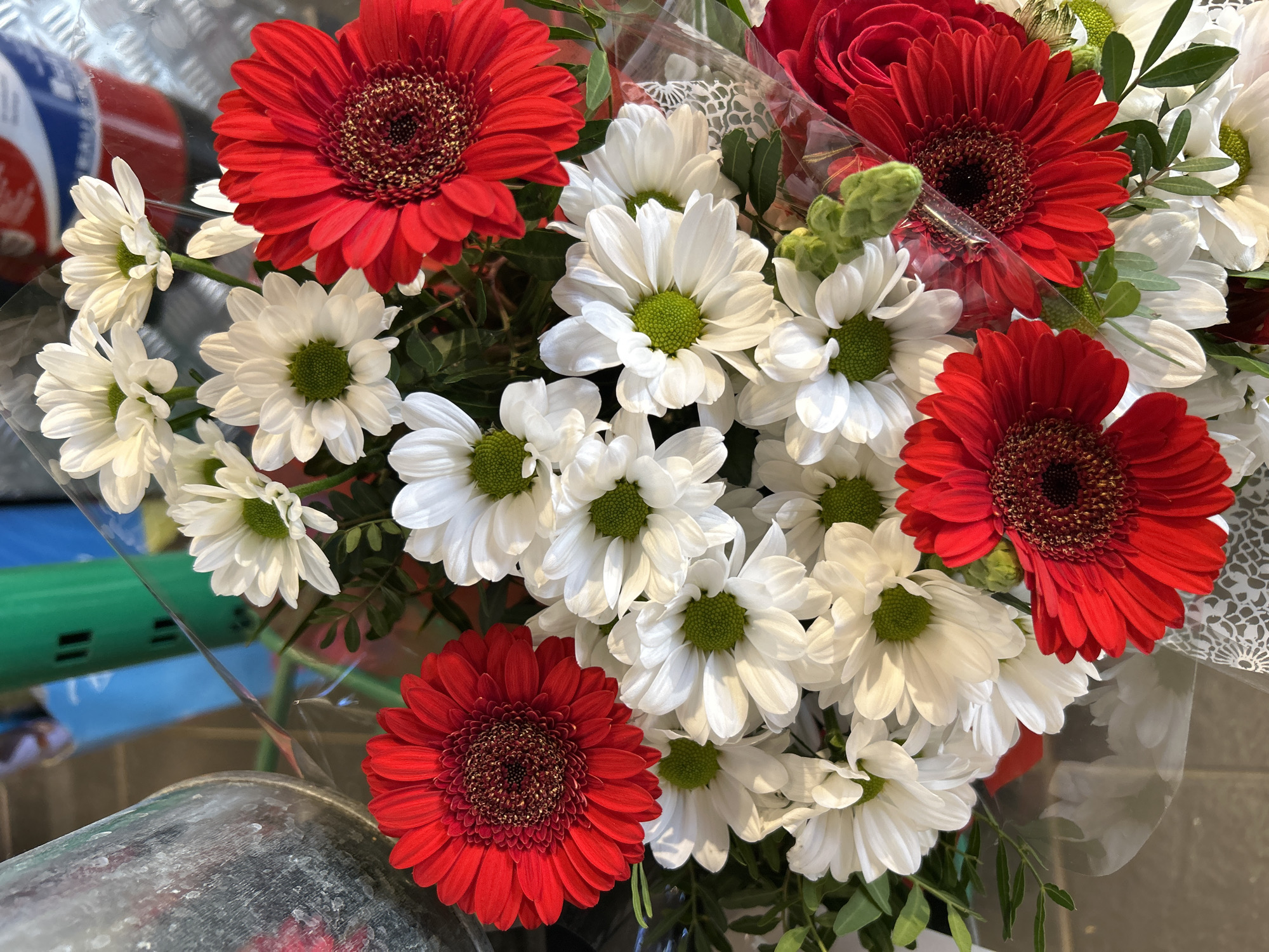 The image captures a vibrant bouquet of fresh flowers, predominantly featuring bold red Gerber daisies and delicate white chrysanthemums (or similar daisy-like flowers). The red Gerber daisies are characterized by their deep red petals and dark, textured centers, some appearing almost black or dark brown. The white flowers have numerous white petals radiating from distinct bright green centers. Green foliage and what appear to be unbloomed green flower buds are interspersed among the main blooms, adding to the bouquet's texture and color variety.
The flowers are neatly arranged and wrapped in clear, reflective plastic cellophane, which shows some crinkling and highlights. The wrapping suggests the bouquet is either ready for purchase or has just been acquired.
In the blurred background, hints of other objects are visible. To the upper left, there's a glimpse of a surface with a red, white, and blue pattern, possibly a logo or part of a display. A dull, metallic or brushed silver object is visible in the lower left foreground, and a bright green bar or handle-like structure can be seen in the mid-left background. These elements suggest an indoor setting, likely a shop, market stall, or supermarket, where flowers are sold or displayed.
No people or specific activities are visible in the image. The lighting appears bright and even, illuminating the flowers clearly. There is no discernible text. The overall impression is one of freshness and color, typical of a floral arrangement. The location context provided is Strasbourg, France.