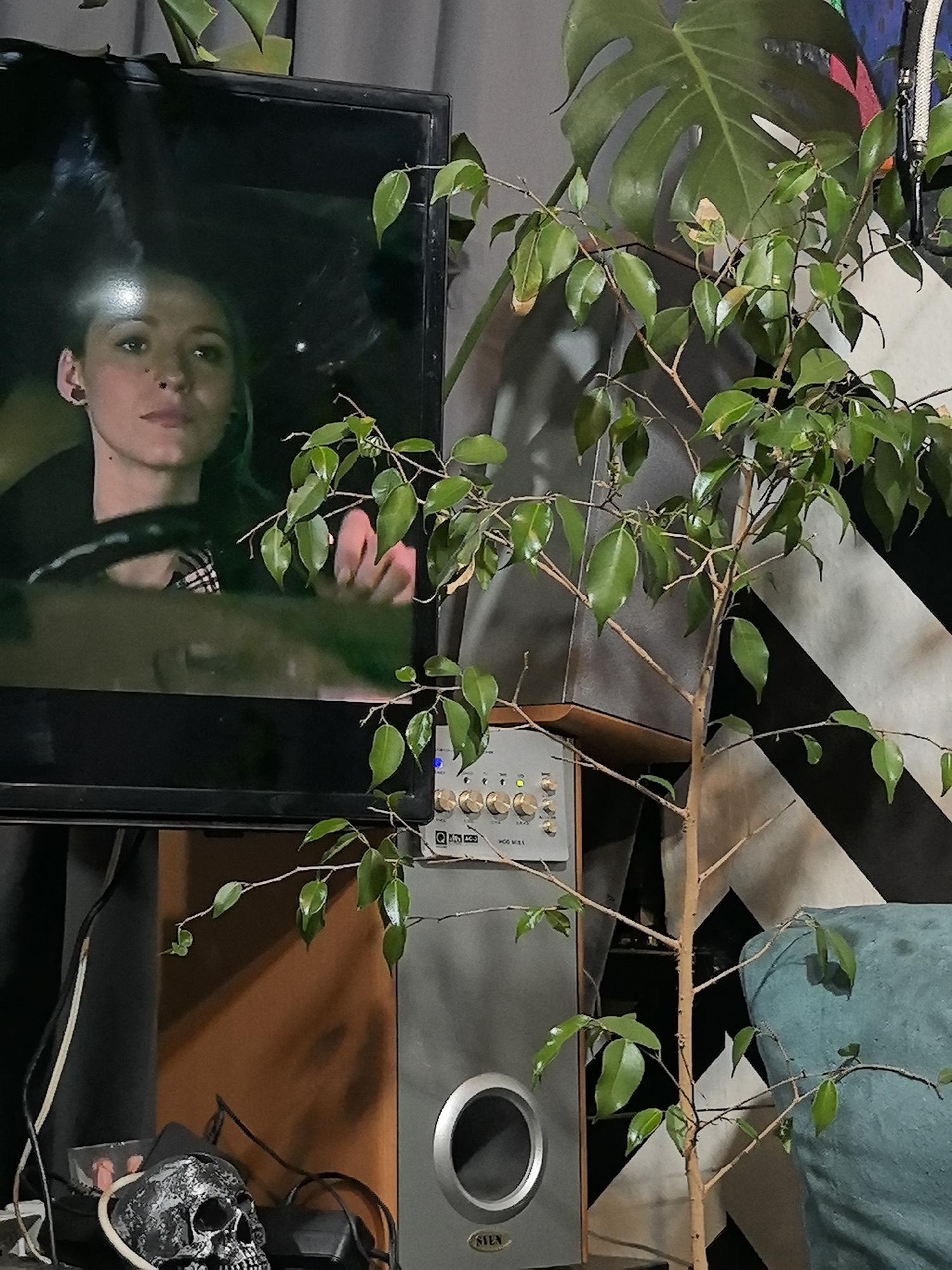 A dimly lit interior scene features a television displaying a woman in a car. To the right of the TV is a small tree, possibly a ficus, with a large Monstera leaf behind it. A silver-colored audio amplifier with knobs is positioned below the TV, sitting atop a wooden cabinet that houses a silver speaker. A decorative skull is visible among a tangle of cables and electronic devices. The background includes a wall with black and white geometric patterns and a blue cushion. The location is impossible to ascertain from this image.