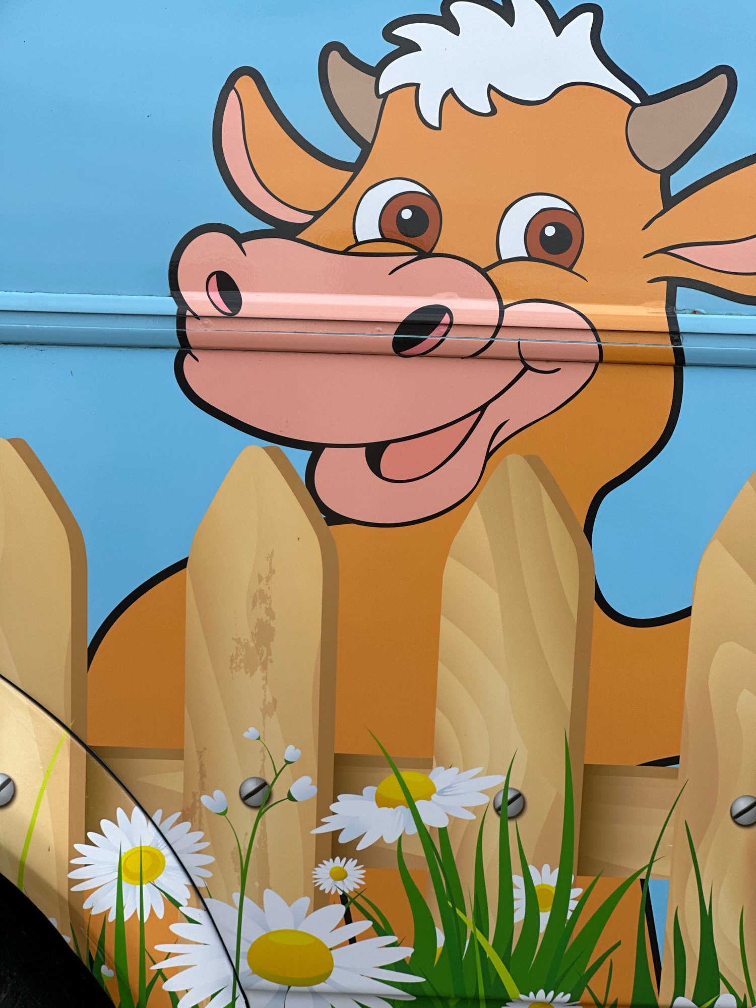 The image shows a cartoon cow peeking over a wooden fence in South Cambridgeshire, United Kingdom. The cow has orange fur, large brown eyes, and a pink nose. It is smiling and its ears are perked up. The fence is made of light-colored wood and has a rustic appearance. In front of the fence, there are several white daisies with yellow centers and green grass. The background is a solid blue color. The image appears to be a mural or a painted advertisement.