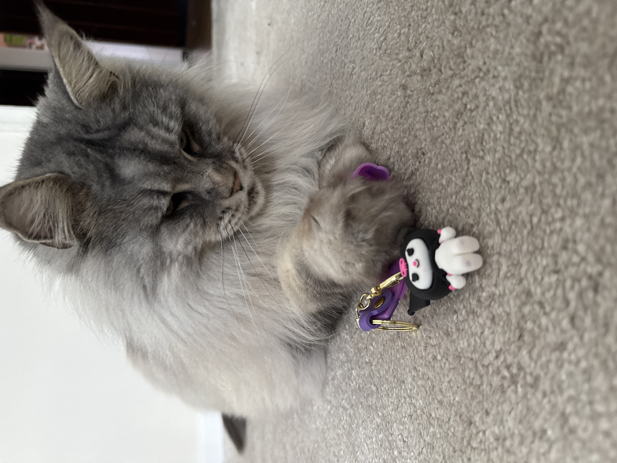 A fluffy, gray and white cat is lying on a light gray carpet, paws around a black and white cartoon character keychain with purple accents and gold rings. The cat appears to be resting its head on the toy. A dark wooden object is partially visible in the background. The image does not contain location information specific to Haskovo, Bulgaria.