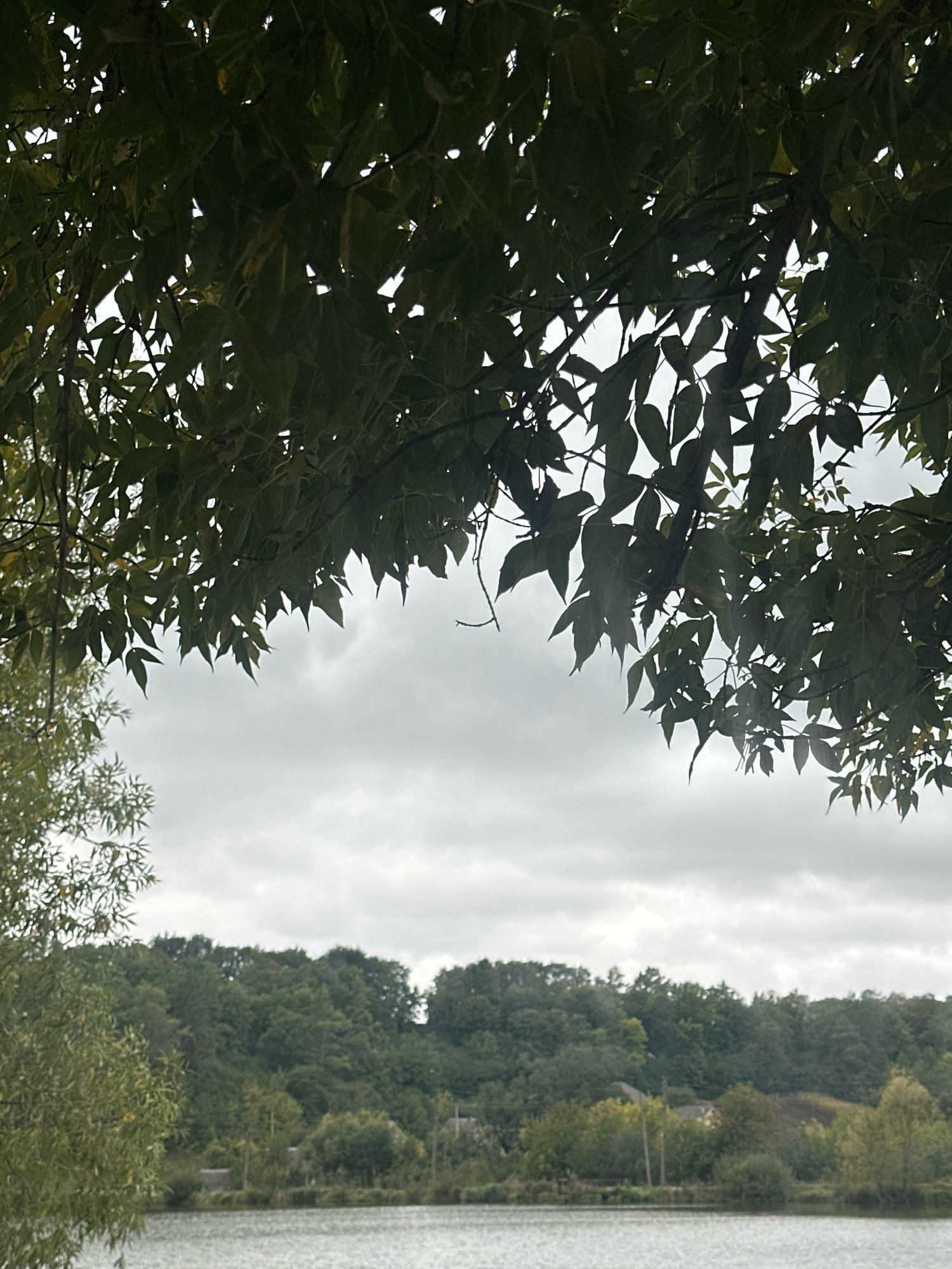 The image depicts a body of water in Makiv, Ukraine, with a dense, green treeline forming the background. The sky is overcast with gray clouds. In the foreground, the branches and leaves of trees hang down, obscuring portions of the sky and the landscape beyond. The water appears calm with ripples on its surface. A few scattered structures are visible amongst the trees on the distant shore.