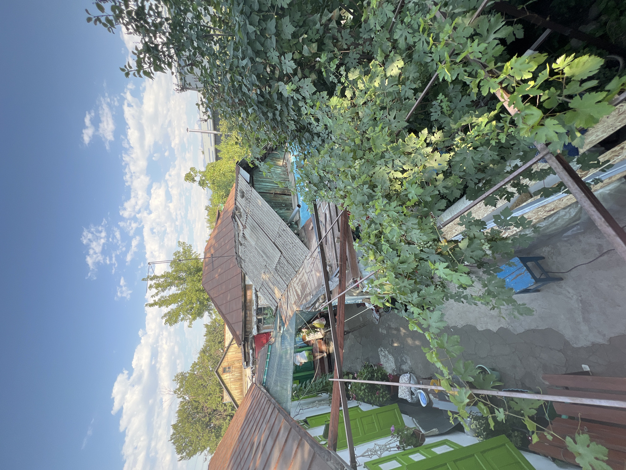 This is an outdoor, high-angle shot of a courtyard in Almaty, Kazakhstan. The courtyard is surrounded by several residential buildings with sloped, weathered roofs made of corrugated metal and asphalt shingles. There are numerous trees and dense foliage, including a large vine, in the foreground and throughout the scene, indicating a residential area with established greenery.
In the courtyard, a person wearing a white t-shirt and shorts is walking away from the camera down a narrow pathway. The pathway is paved with concrete. Several wooden structures, possibly benches or railings, are visible. There are also potted plants and a small, blue wooden stool with a cord running from it. The buildings feature bright green doors and windows, contrasting with the muted tones of the roofs. The sky above is blue with scattered white clouds. The overall impression is of a lived-in, somewhat rustic, urban backyard or shared courtyard space.
