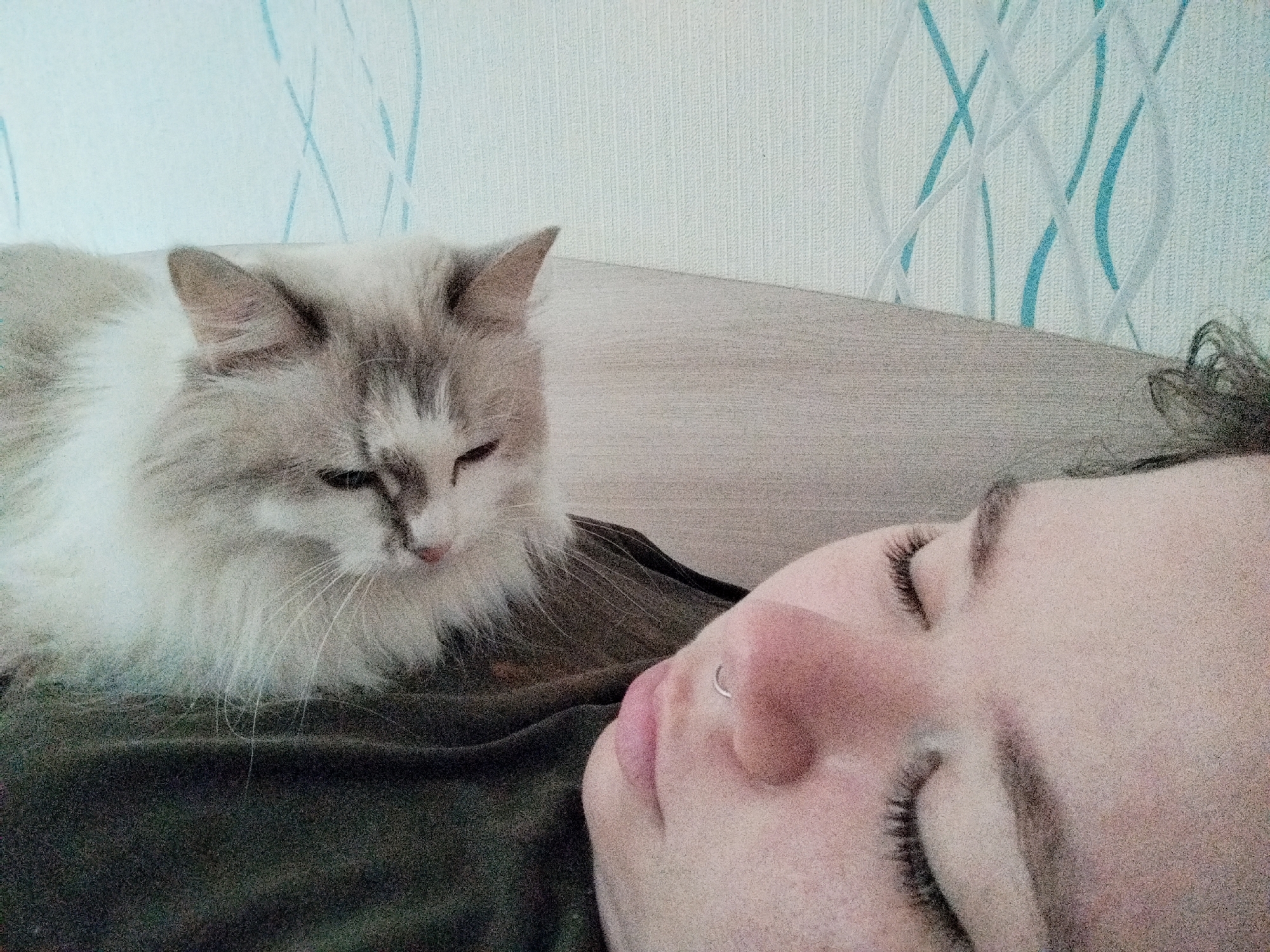 A close-up shot shows a person lying down with their eyes closed. The person has a nose ring and visible eyelashes. A fluffy, grey and white cat is sitting on the person's chest, looking down. The background features a light-colored wall with a subtle pattern.