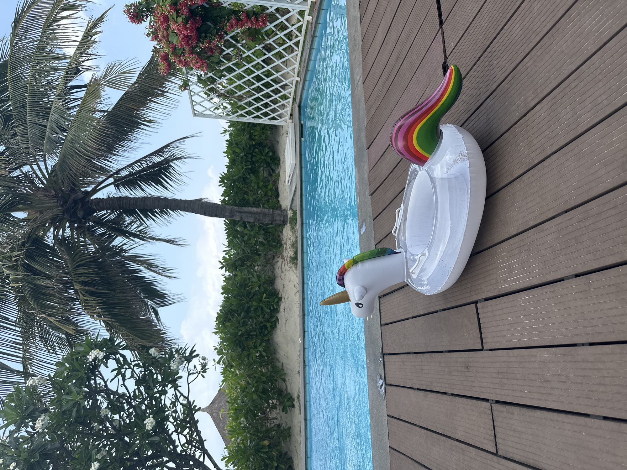 This image presents a vibrant outdoor scene, likely a tropical resort or vacation setting, with a swimming pool, lush greenery, and a wooden deck under a bright sky. The photograph is oriented on its side, making the horizon line appear vertical.
In the immediate foreground, on the right side of the image, a dark brown wooden deck features an inflatable unicorn pool float. The float is predominantly white with a distinct rainbow-colored mane/tail and a golden horn, resting on the deck planks, which are arranged horizontally.
Adjacent to the deck is a clear blue swimming pool, its water rippling slightly and reflecting light. A concrete coping marks the edge of the pool. Beyond the pool, to the left, a narrow strip of sandy ground is visible, followed by dense green bushes.
Various tropical plants and trees frame the scene. A prominent palm tree with large fronds extends from the mid-left upwards, reaching towards the bright, partly cloudy sky. In the upper center, a white lattice structure is partially covered by a plant with striking red flowers. Another plant with white blossoms, possibly frangipani, is visible in the lower-left corner. A small portion of a thatched hut roof can be seen in the distant lower left, peeking out from behind the vegetation.
The scene depicts a clear, sunny daytime, evoking a sense of leisure and tranquility. There is no discernible activity taking place, and no visible text in the image.