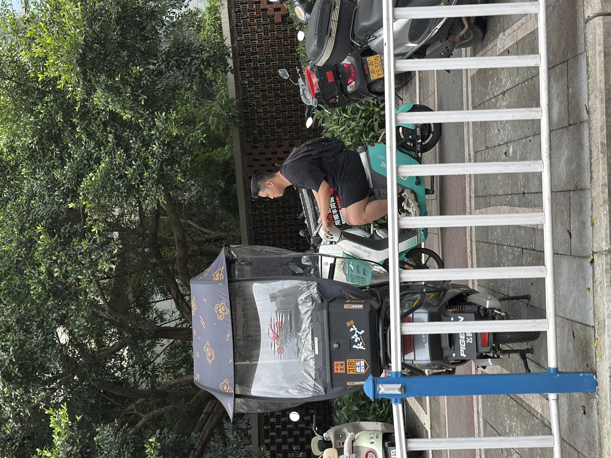 The image shows a street scene in Chongqing High-tech Zone, China. A young man wearing a black t-shirt and black shorts is squatting near a parked light green scooter, which appears to be part of a scooter-sharing service. The scooter has a delivery box on the back, covered by a canopy with a teddy bear pattern, with Chinese characters and "OTINA" printed on it. Another scooter with a delivery box is also visible. Several other scooters are parked in the background. A white and blue railing is in the foreground. A large tree with dense green foliage is on the left side of the image. The license plate of one of the motorcycles shows "Y530N".