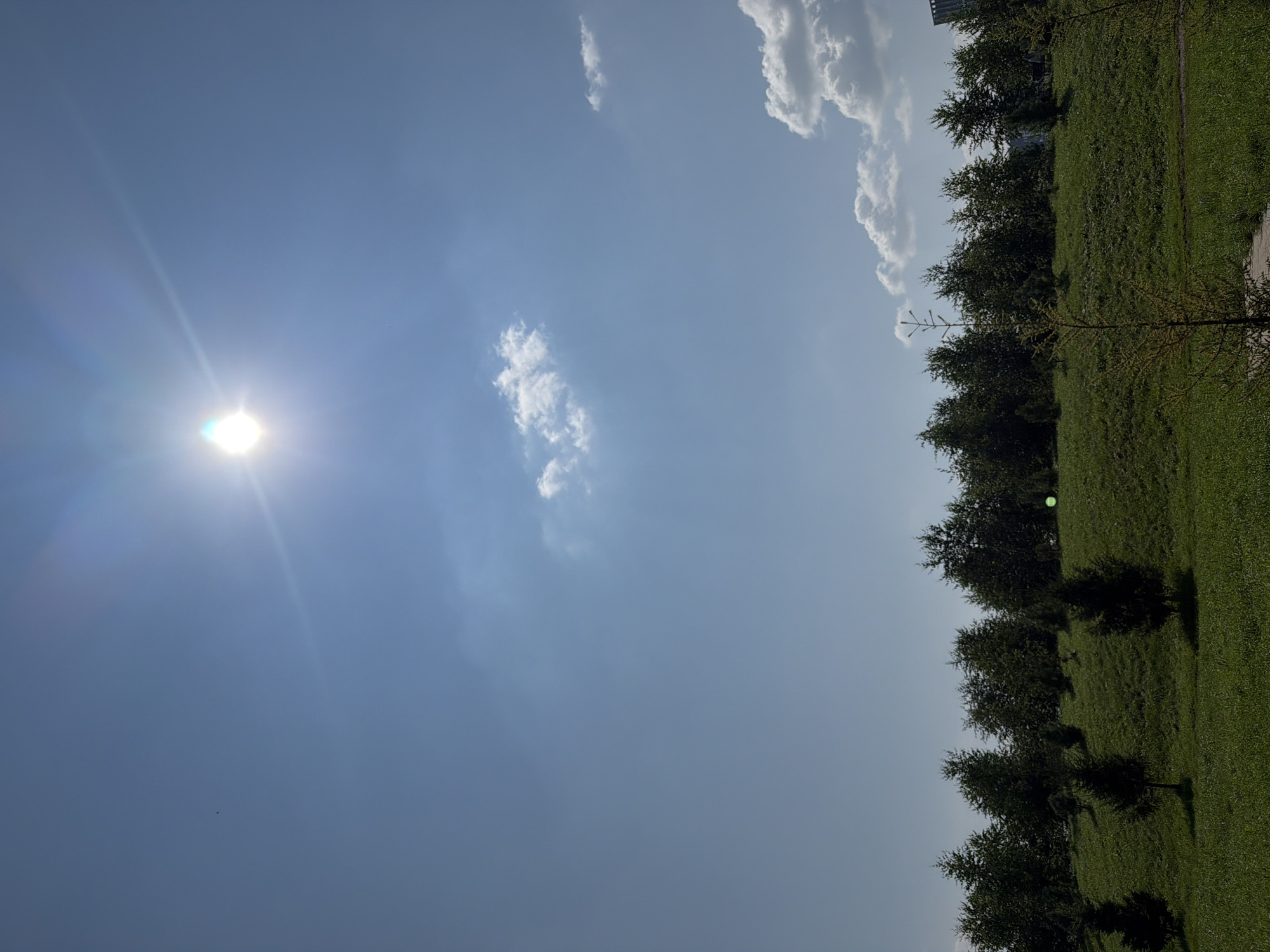 The image depicts a bright, sunny day in a park area in Yekaterinburg, Russia. The sky is a clear blue with a few wispy white clouds. The sun is high in the sky, casting a strong glare. In the foreground, there is a lush green lawn dotted with small trees. Behind the lawn, a gentle slope is covered in more trees, forming a dense line across the middle of the frame. The trees appear to be a mix of deciduous and coniferous varieties. The overall impression is one of a pleasant, outdoor setting, likely a public park or recreational area within the city.