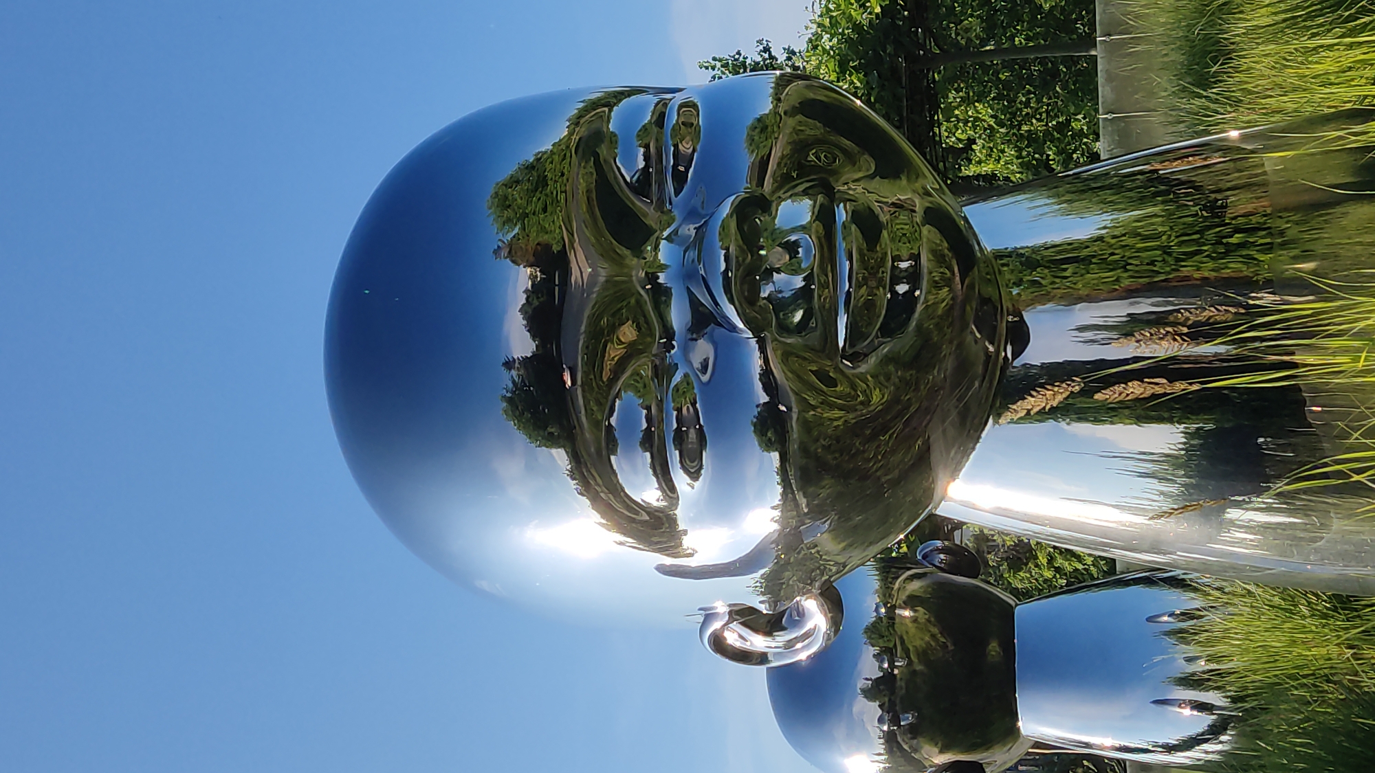 The image shows a close-up of two large, highly reflective, chrome sculptures of baby heads in an outdoor setting. The sculpture in the foreground is significantly larger and dominates the frame, with its face clearly visible, reflecting the surrounding environment. The second sculpture, smaller and to the left, is partially obscured and appears to be behind the main subject.
The sculptures are placed in a grassy area with tall green grass in the foreground. In the background, there are lush green trees and foliage, suggesting a park or garden. The sky above is a clear, bright blue. The reflective surfaces of the sculptures mirror the sky, trees, and possibly buildings or other structures not fully visible in the frame.
The overall impression is one of modern art installation in a natural or landscaped environment. The highly polished surfaces create a distorted but recognizable reflection of the surroundings. The location is identified as the Krasnodar Park of Culture and Leisure, also known as "Galitsky Park", in Krasnodar, Russia. The sculptures are part of the park's art collection. There are no people visible in the image.