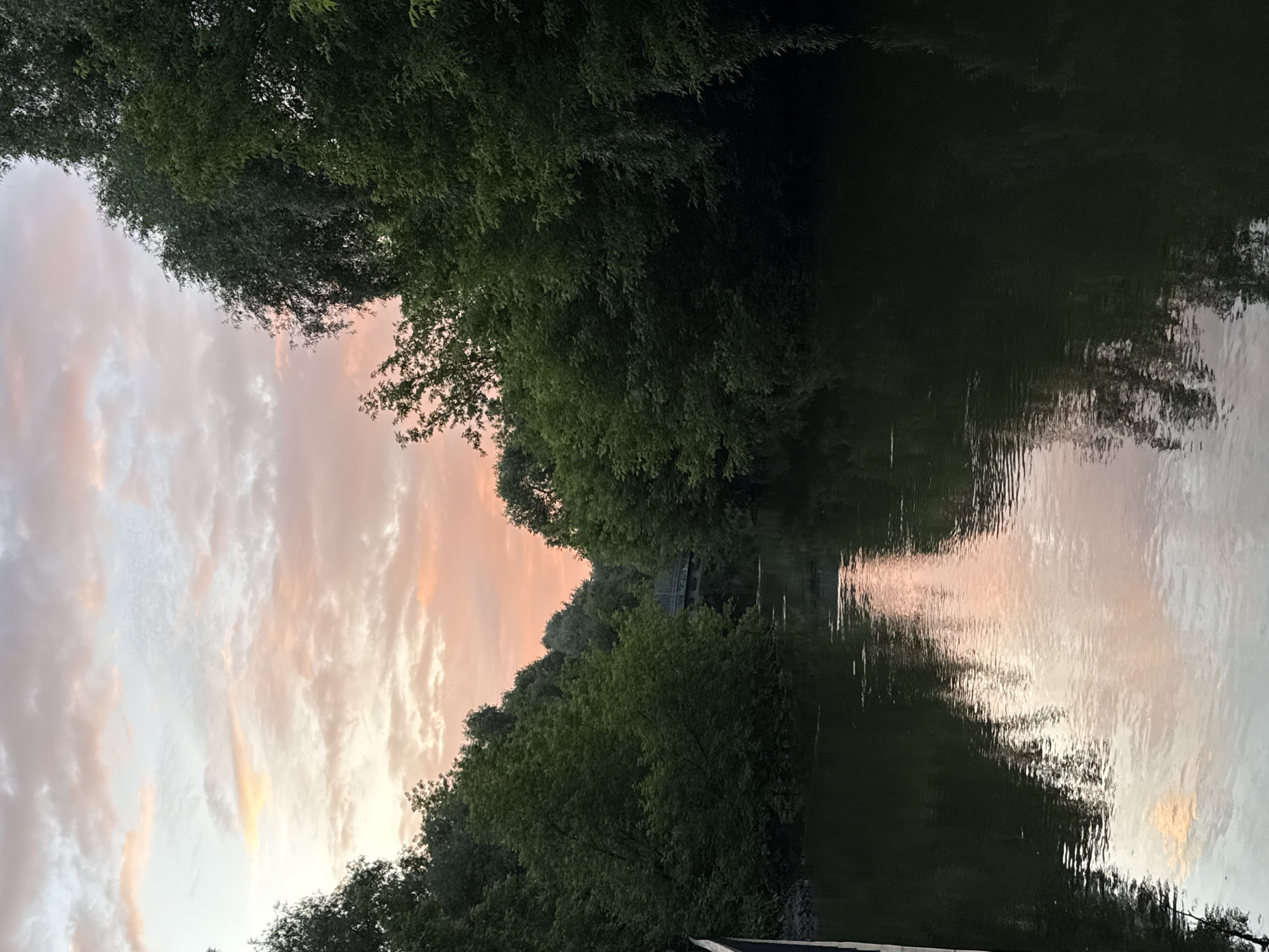 The image shows a wide, dark body of water, likely a river or canal, reflecting the pale pink and white hues of a sunset sky. Lush, dense green trees line both banks of the waterway, creating a tunnel-like effect. In the distance, a dark, arched bridge spans the water, partially obscured by the foliage. The overall scene evokes a tranquil, natural setting within a city. Given the presence of a canal and dense urban greenery with a bridge of this design, the location is likely in Moscow, Russia. Specifically, the scene is consistent with the Serebryany Bor nature reserve or areas along the Moskva River where canals and green spaces are prominent.