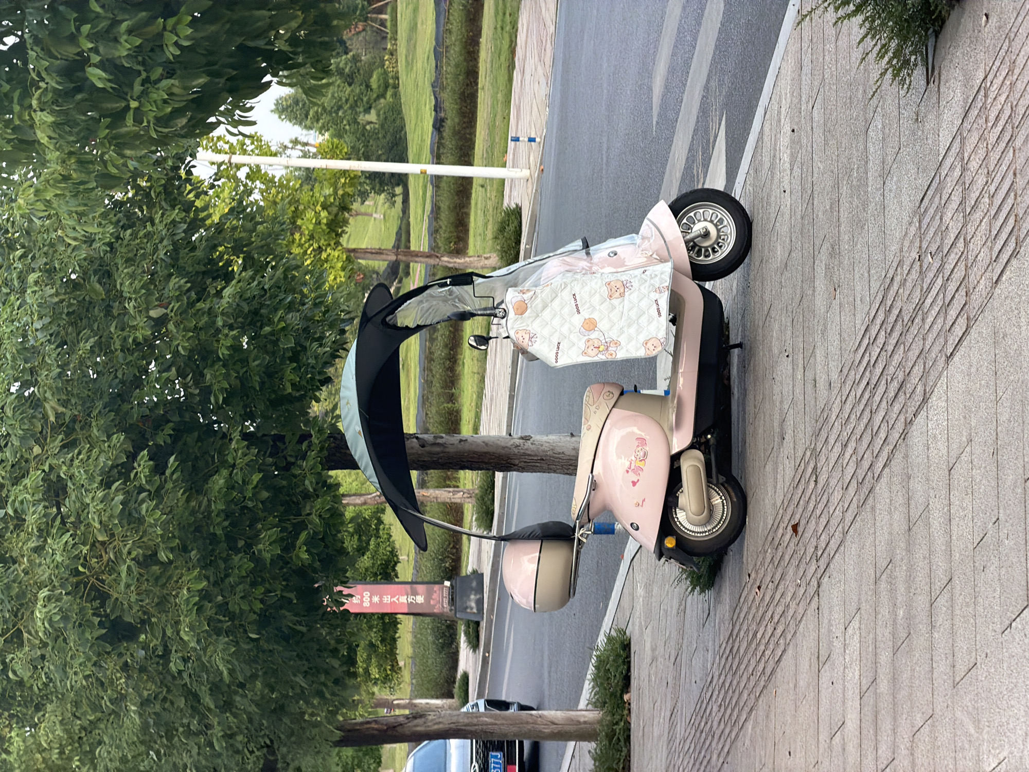 A pink electric scooter is parked on a sidewalk next to a street in the city of Jiangjin, China. The scooter has a canopy, a windshield cover adorned with teddy bear graphics, and a pink helmet attached to the side. The sidewalk is made of stone pavers with raised tactile paving for the visually impaired. Trees line the sidewalk and the street, which has a visible crosswalk. In the background, a grassy slope and more trees are visible. A silver car with a license plate starting with "J7TJ J" is parked on the street to the left of the scooter. A red and white sign is visible behind the scooter, appearing to be a vertical advertisement.