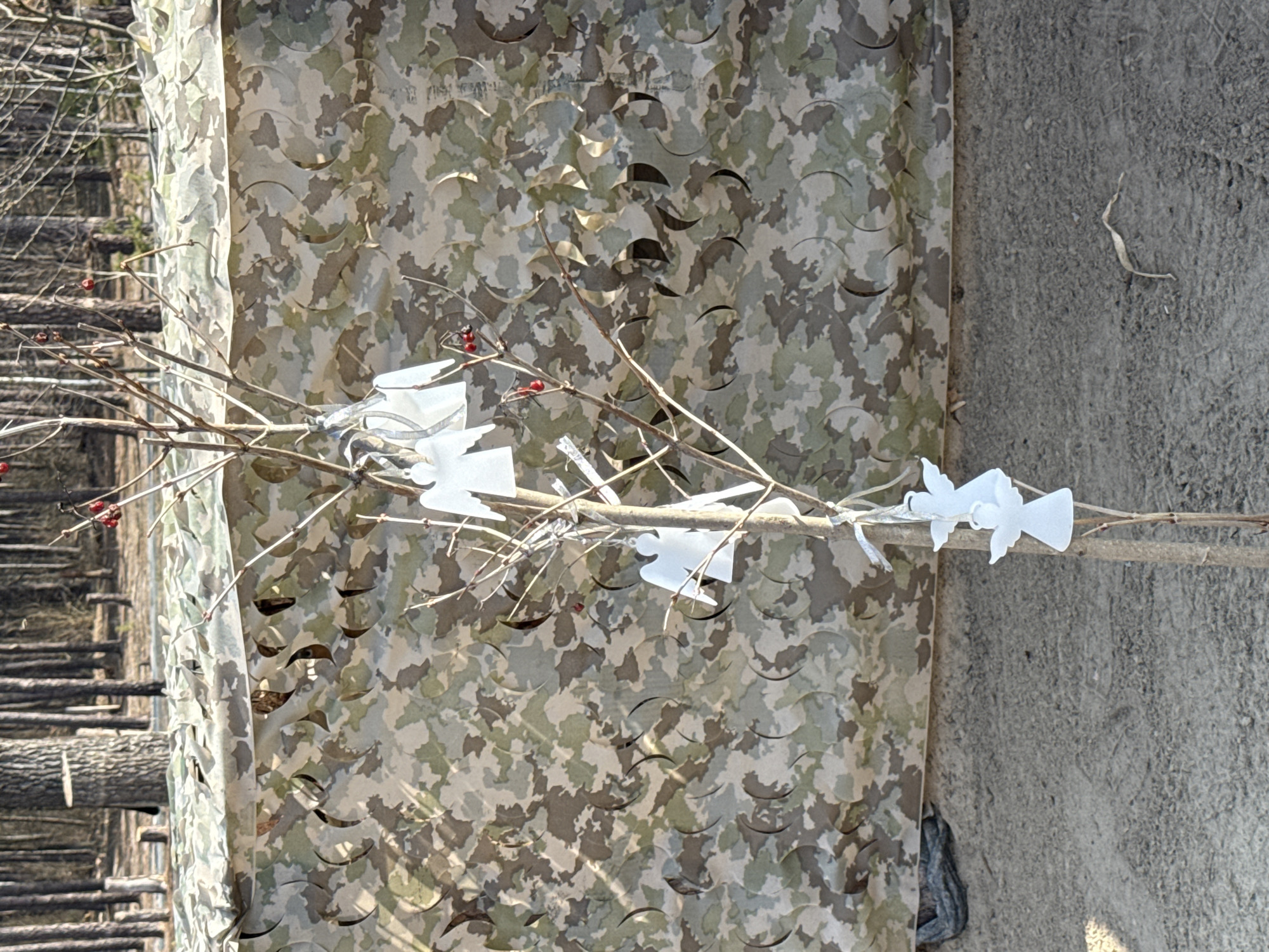 The image depicts an outdoor scene in Moshchun, Ukraine. In the foreground, a slender, leafless deciduous sapling, approximately 1.5 meters tall, stands rooted in light-colored sandy ground. Numerous opaque white angel-shaped ornaments, likely made of plastic or frosted glass, are suspended by thin white or silver ribbons from the sapling's bare branches. Some branches also display clusters of small, bright red berries.
Immediately behind the sapling, a barrier constructed from camouflage netting stretches horizontally across the frame. This netting exhibits a pixelated or digital camouflage pattern in shades of light green, dark green, brown, and tan, with an irregular, three-dimensional texture created by cutouts. Beyond the netting, a sparse forest is visible, composed primarily of bare-branched deciduous trees and some visible coniferous trees, under what appears to be bright daylight. The ground beneath the sapling is largely devoid of vegetation, consisting of loose earth or sand. No individuals are present in the frame.