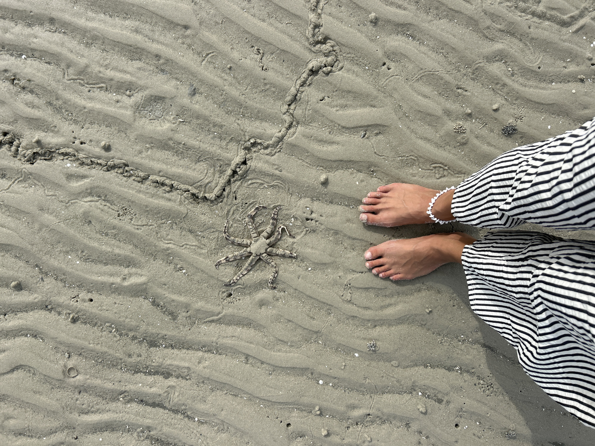 A person's bare feet, adorned with a white beaded anklet on the left ankle, are positioned on wet sand. They are wearing black and white striped wide-leg pants. In front of their feet, approximately one foot away, is a deceased starfish with eight arms, lying on the rippled sand. The sand shows evidence of tidal patterns with parallel ridges and trails left by small marine creatures. The environment is a beach, likely in the city of Ko Yao, Thailand, given the sandy texture and the presence of marine life. The lighting suggests it is daytime, possibly overcast or late afternoon, due to the soft shadows and diffused light.