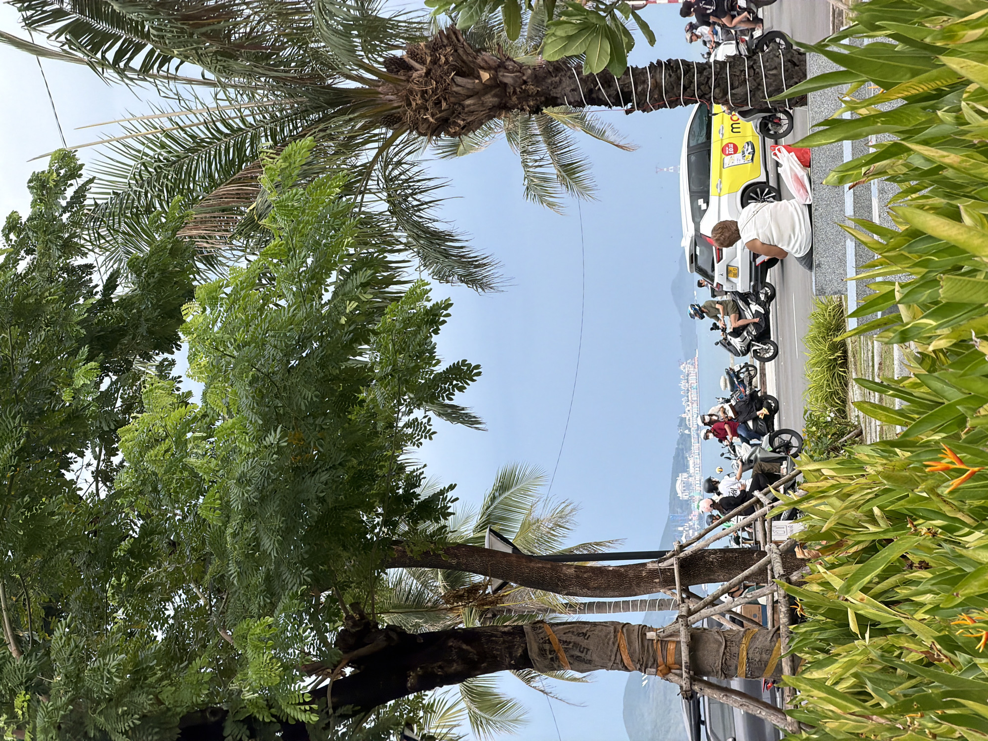 The image captures a street scene in Nha Trang Ward, Vietnam. Palm trees and other greenery frame the scene. A line of parked scooters and a yellow and white taxi are visible along the street. A man in a white shirt is sitting on the curb near the taxi. Several people on scooters appear to be waiting or interacting with each other. The sky is light blue, and there is a distant view of the coastline or mountains. The lighting suggests it is daytime. A tree is supported by scaffolding.