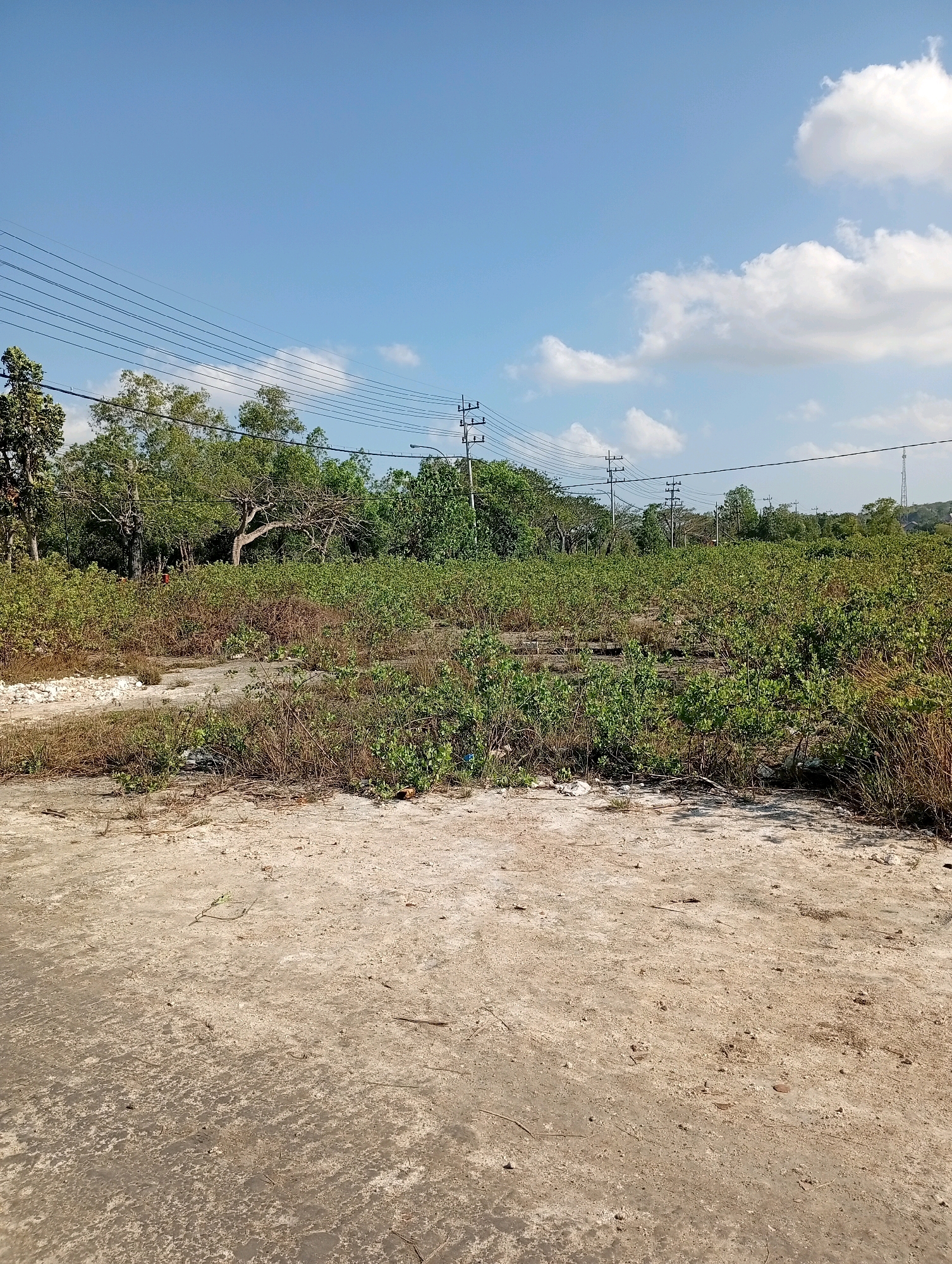 This image depicts an undeveloped, overgrown lot in Socah, Indonesia, under a clear blue sky with scattered white clouds. The foreground consists of a dirt and gravel path with some debris. Beyond this, the lot is filled with dense, low-lying green vegetation and dry grasses, interspersed with patches of exposed earth. In the background, a line of trees forms a backdrop, with power lines and utility poles visible crisscrossing the upper portion of the frame. The overall impression is of an arid, rural landscape.