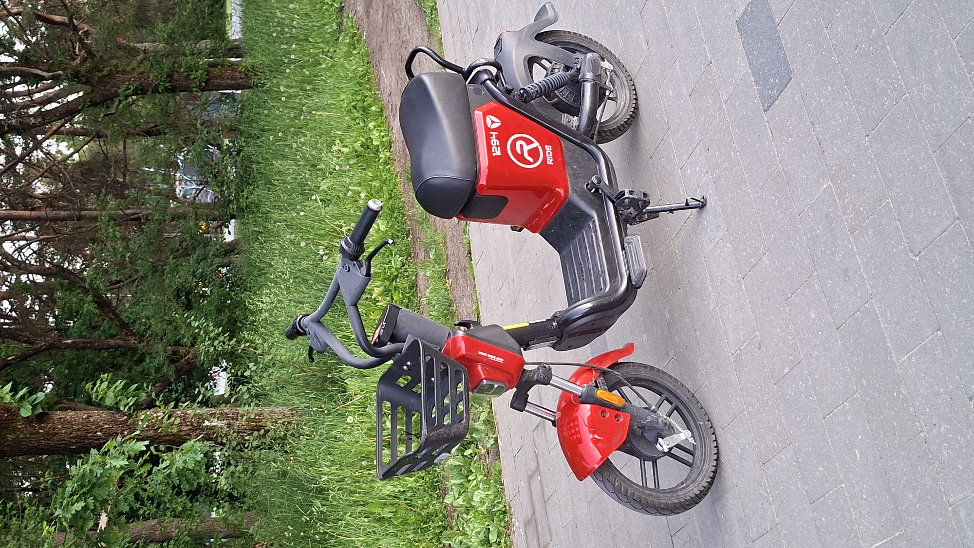 A red and black electric scooter with a black basket is parked on a paved sidewalk in a park-like setting. The scooter has a black seat, black handlebars, and a black motor visible on the rear wheel. The scooter is branded with "1294 RIDE" and a circular logo with an 'R' inside. The background consists of lush green grass, trees, and foliage. The pavement is made of grey rectangular blocks. The scene appears to be outdoors during daylight.
