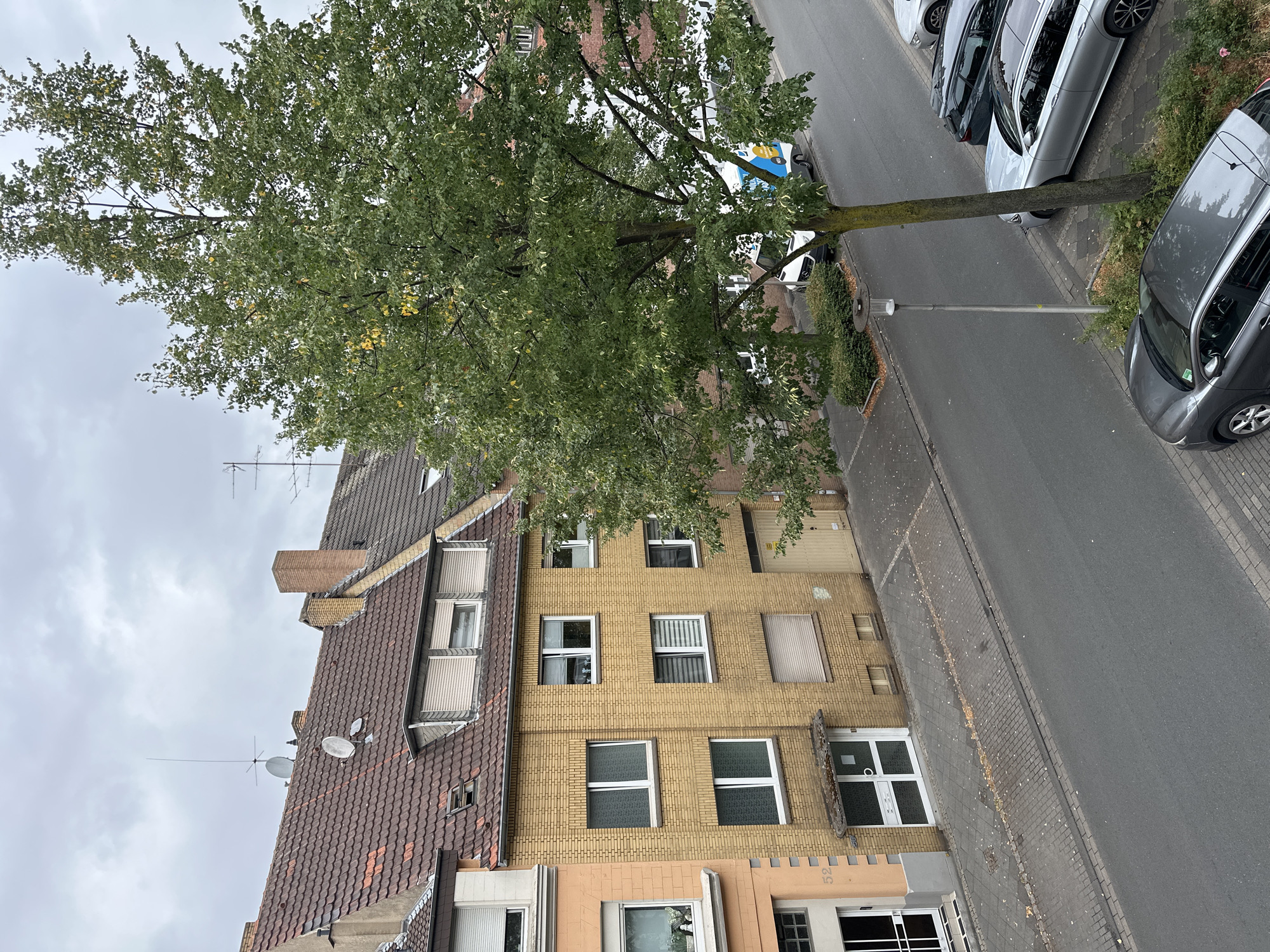 The image shows a street in Hamm, Germany, on a cloudy day. The street is lined with residential buildings and a large tree. Several cars are parked along the street. The buildings are typical German row houses, with red-tiled roofs and brick facades. One building is painted yellow and has multiple windows and doors. Another building to the left is painted orange. A large tree with green leaves stands in the foreground, casting a shadow on the street. A streetlamp is visible next to the tree. Cars parked on the street include a silver sedan, a dark gray SUV, and a white van. The sky is overcast and gray, indicating a cloudy day.