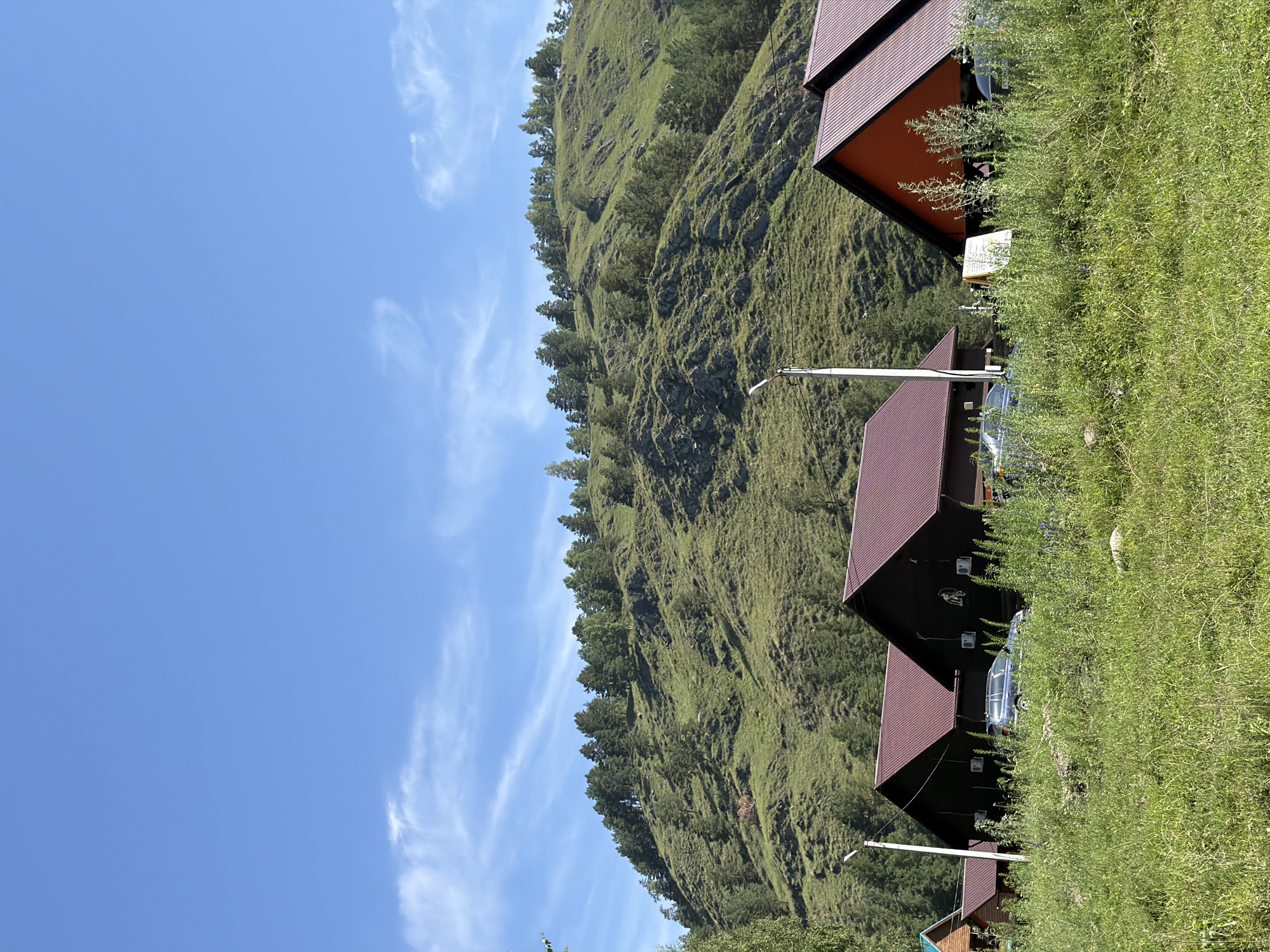 The image shows a rural landscape with a cluster of buildings in the foreground and a tree-covered hill in the background. The buildings appear to be cabins or small houses, with dark wood exteriors and reddish-brown roofs. Some of the cabins have air conditioning units mounted on the exterior walls. There are several cars parked in front of the buildings, and a tall white lamp post stands near the center of the scene. The foreground is dominated by tall green grass and wildflowers. The hill behind the buildings is covered in a dense growth of green trees and shrubs, with rocky outcrops visible in places. The sky is a clear, bright blue with a few wispy white clouds. The scene suggests a natural setting, possibly a resort or a residential area located in a mountainous or hilly region. The image is taken on a sunny day.