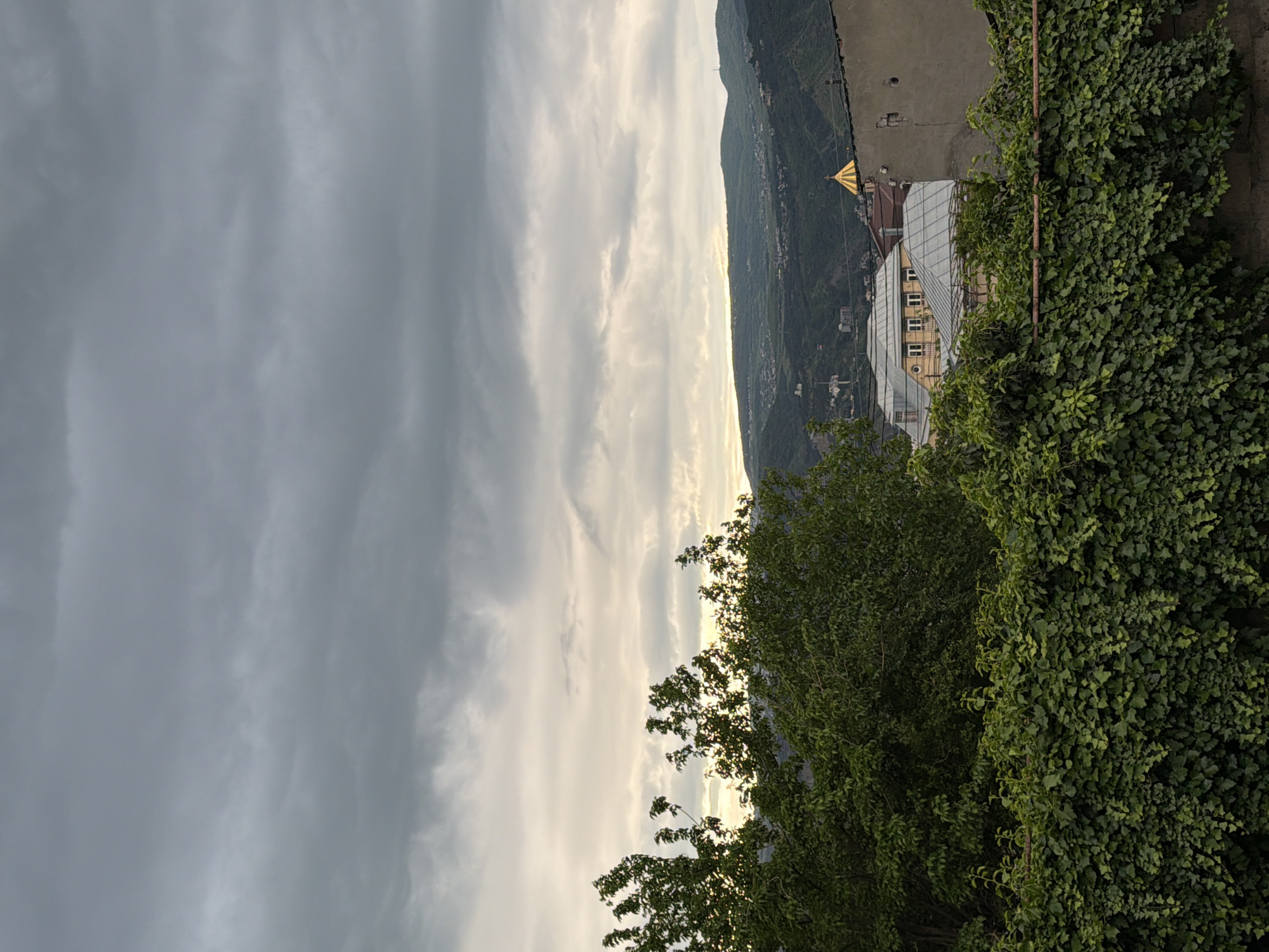 The image shows an overcast sky above a mountainous landscape near Tbilisi, Georgia. A building with a silver roof and yellow trim is partially obscured by trees and ivy on the right side of the frame. A golden dome is visible on a building behind the silver-roofed structure. The foreground is filled with dense foliage.