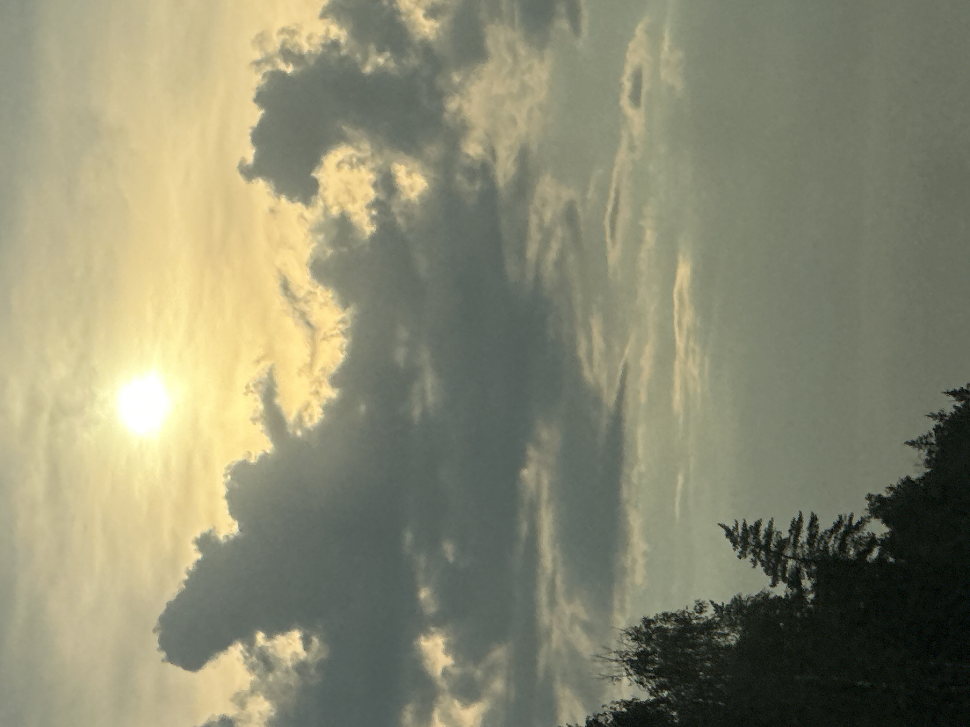 The image depicts a sky filled with clouds and the sun, viewed from a forested area in Khlyupinskogo Lesn-Va, Russia. The sun, a bright, white orb, is positioned in the upper left quadrant of the frame, casting a warm, yellow glow through the scattered clouds. The clouds themselves vary in shade from dark gray to lighter tones, with some areas illuminated by the sun. In the lower left portion of the image, the silhouettes of trees and a forest edge are visible, suggesting a natural, outdoor setting. The overall impression is one of a serene, possibly late afternoon or early morning sky. There are no people or discernible objects in the foreground or mid-ground.