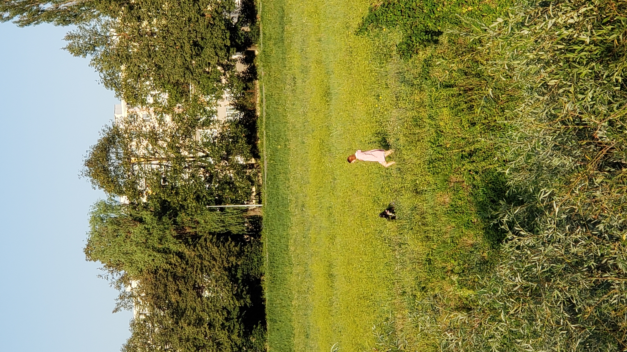 A person in a pink dress is lying on a grassy field with a dog nearby. The scene is set in a park with trees and a building in the background. The sun is shining, casting shadows on the grass, suggesting it is daytime. The overall mood is relaxed and peaceful. There is no visible text in the image.
