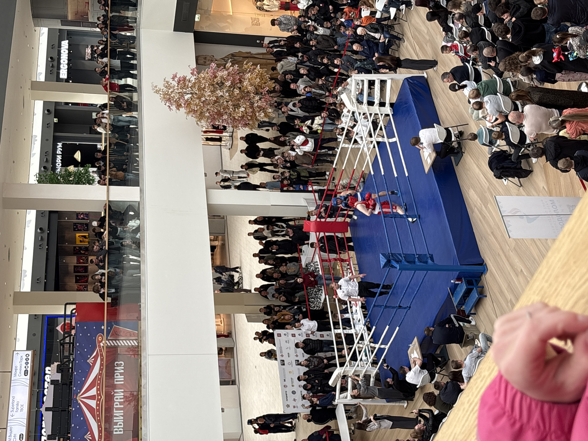Here is a detailed description of the image:
**General Description:** The image captures a boxing match taking place inside a large, multi-level shopping mall. A crowd of people surrounds the boxing ring, observing the ongoing fight. Multiple levels of the mall offer vantage points, with spectators lining the railings to watch the event.
**Location:** The shopping mall is located in the city of Perm, Russia.
**Subjects and People:**
* Two boxers are actively engaged in a boxing match inside the ring. They are wearing boxing attire and protective gear.
* A referee is present inside the ring, overseeing the match.
* Spectators of various ages are watching the match. Some are seated, while others are standing.
**Objects:**
* A boxing ring with red and blue corners is in the center of the scene.
* Chairs are set up around the ring for the spectators.
* Various commercial signs and advertisements are visible in the background on the different levels of the mall.
* A decorative tree adds to the mall's interior design.
**Actions and Interactions:**
* The primary action is the boxing match between the two boxers.
* The referee monitors the fight and intervenes as necessary.
* Spectators are watching the match, likely cheering and reacting to the action in the ring.
**Environment:**
* The scene is set inside a well-lit, modern shopping mall.
* Multiple levels of the mall are visible, adding depth to the image.
* The environment is bustling, with people moving around and observing the event.
* The presence of commercial establishments and advertisements indicates the location as a commercial shopping center.