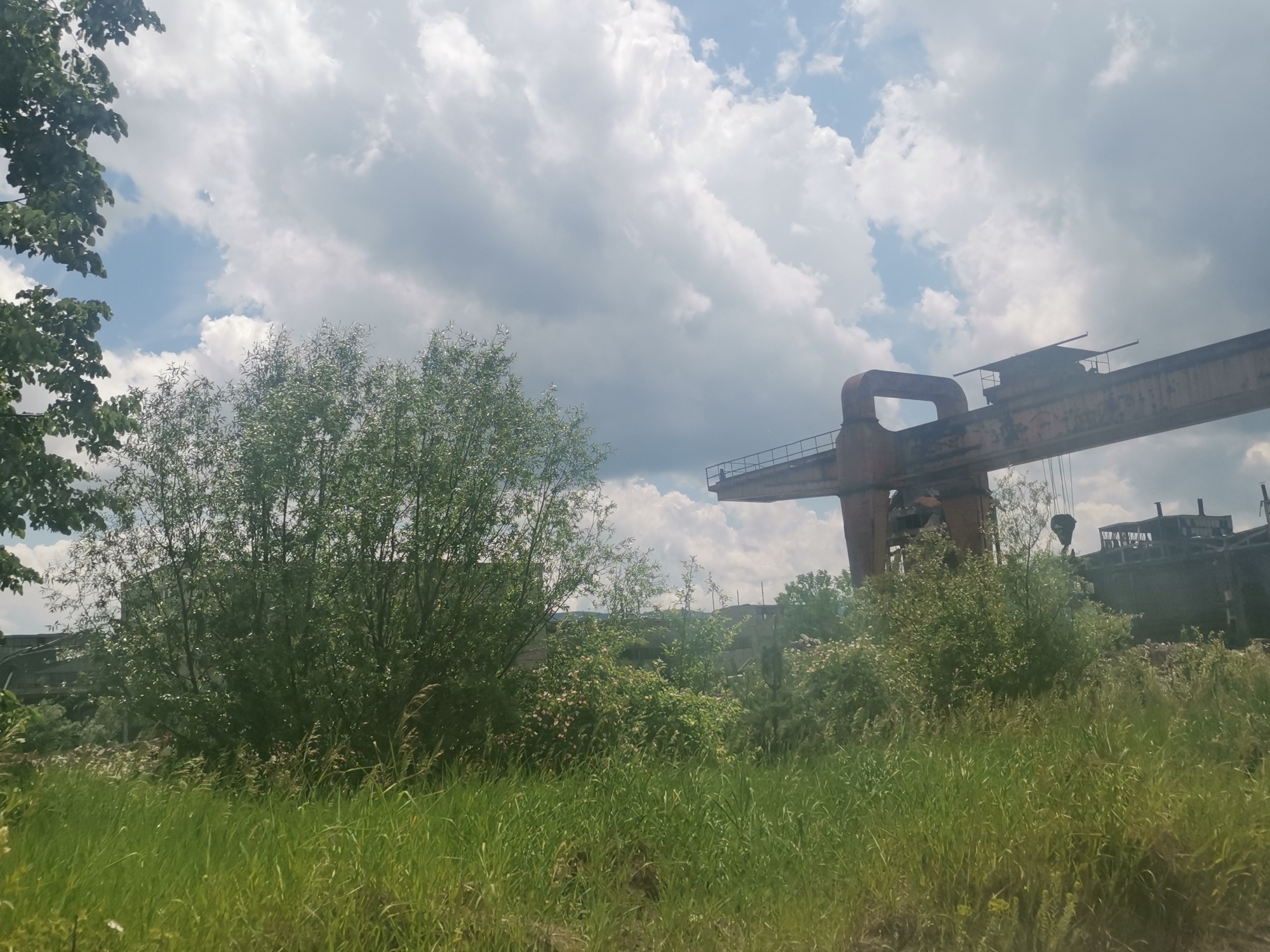 This photograph presents an outdoor scene in Zhivkovo, Bulgaria, characterized by the juxtaposition of industrial decay and natural overgrowth under a partially cloudy sky. The dominant feature is a large, weathered industrial gantry crane or similar heavy machinery, visible in the upper right and mid-right portions of the frame. This massive structure is a rusty reddish-brown, showing significant signs of age, corrosion, and disuse, with visible structural elements and railings.
The foreground and mid-ground are densely covered with wild, vibrant green vegetation. Tall grasses create a rich texture across the bottom of the image, while various bushes and small trees, some with bright green leaves, fill the space between the viewer and the industrial structure. To the far left, the dark green foliage of a larger tree partially frames the scene from above, adding to the sense of nature reclaiming the environment. The extensive, untamed plant life strongly suggests that the industrial site is abandoned or neglected.
The sky above is a patchwork of clear blue and soft, white to light-gray cumulus clouds, indicating fair weather conditions. The bright, natural light suggests it is daytime, likely late morning or early afternoon. There are no people visible, and no specific activity is occurring, conveying a static atmosphere of post-industrial quietude and natural regeneration. No discernible text is present in the image.