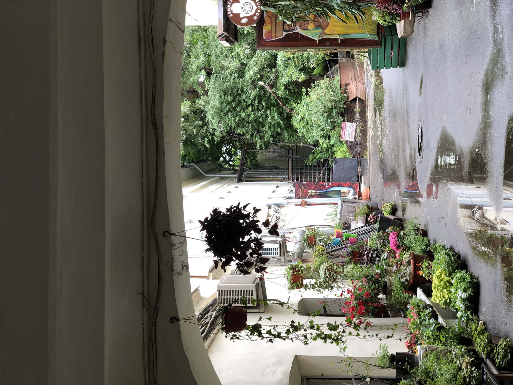 The image captures a view from within an arched entryway, looking out onto a narrow alleyway in Moscow, Russia. The passageway is framed by a white, possibly concrete, structure. Hanging plants are suspended overhead. The alleyway is paved and reflects light, indicating it is wet, presumably from recent rain. Various potted plants and foliage line one side of the alley. Further along, a dense canopy of trees is visible, obscuring the buildings beyond. Signage and other objects suggest a commercial area, possibly a cafe or shop. The atmosphere is urban but with elements of greenery, suggesting a deliberate attempt to create a more natural environment within the city.