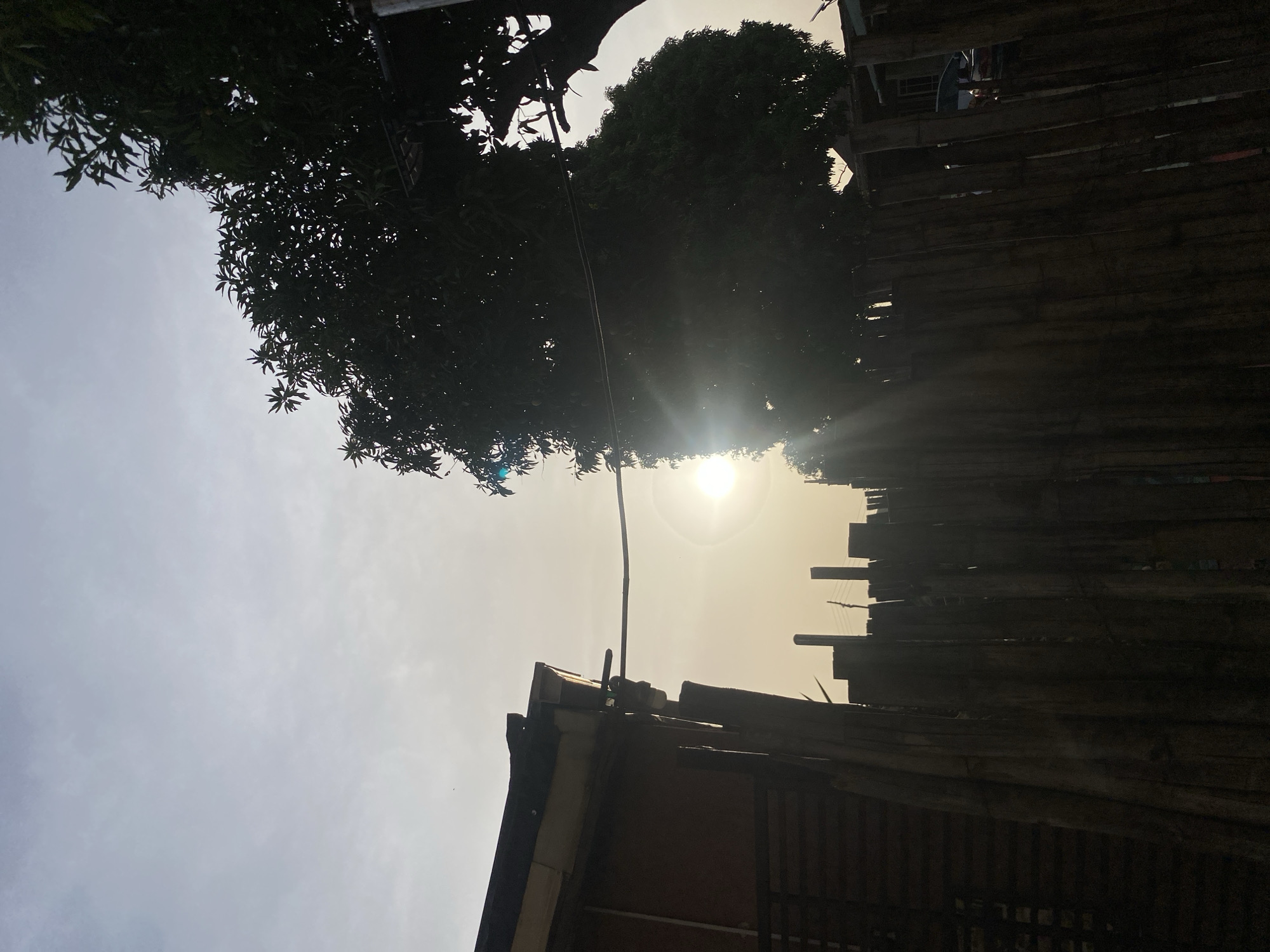 The image shows a view looking upwards. A tree with dense foliage is on the left side. On the right is a weathered wooden structure, possibly a fence or building. The sun is positioned in the center of the frame, partially obscured by the tree and the wooden structure, creating a bright, hazy light. The location is assumed to be Barden Yana, Nigeria, based on the prompt.