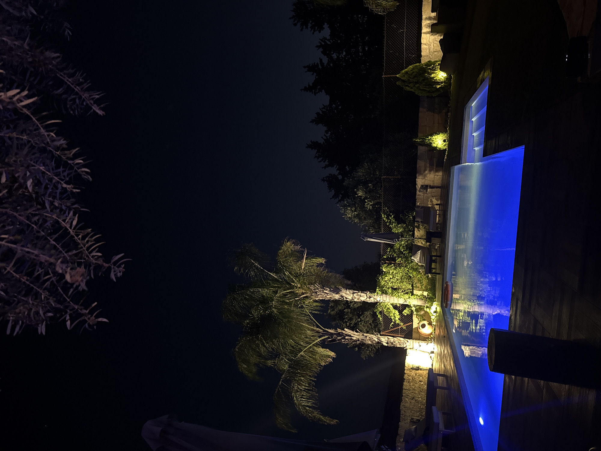 This is a nighttime, low-angle shot of a swimming pool area. The pool itself is illuminated with bright blue lights, reflecting on the water's surface. Two palm trees are visible to the left, lit by yellow floodlights. In the background, there is a stone wall, a chain-link fence, and a line of trees silhouetted against the dark sky. There are also lounge chairs and umbrellas near the pool. The scene is likely a private residence or resort in the town of Pachna, Cyprus, judging by the provided context.