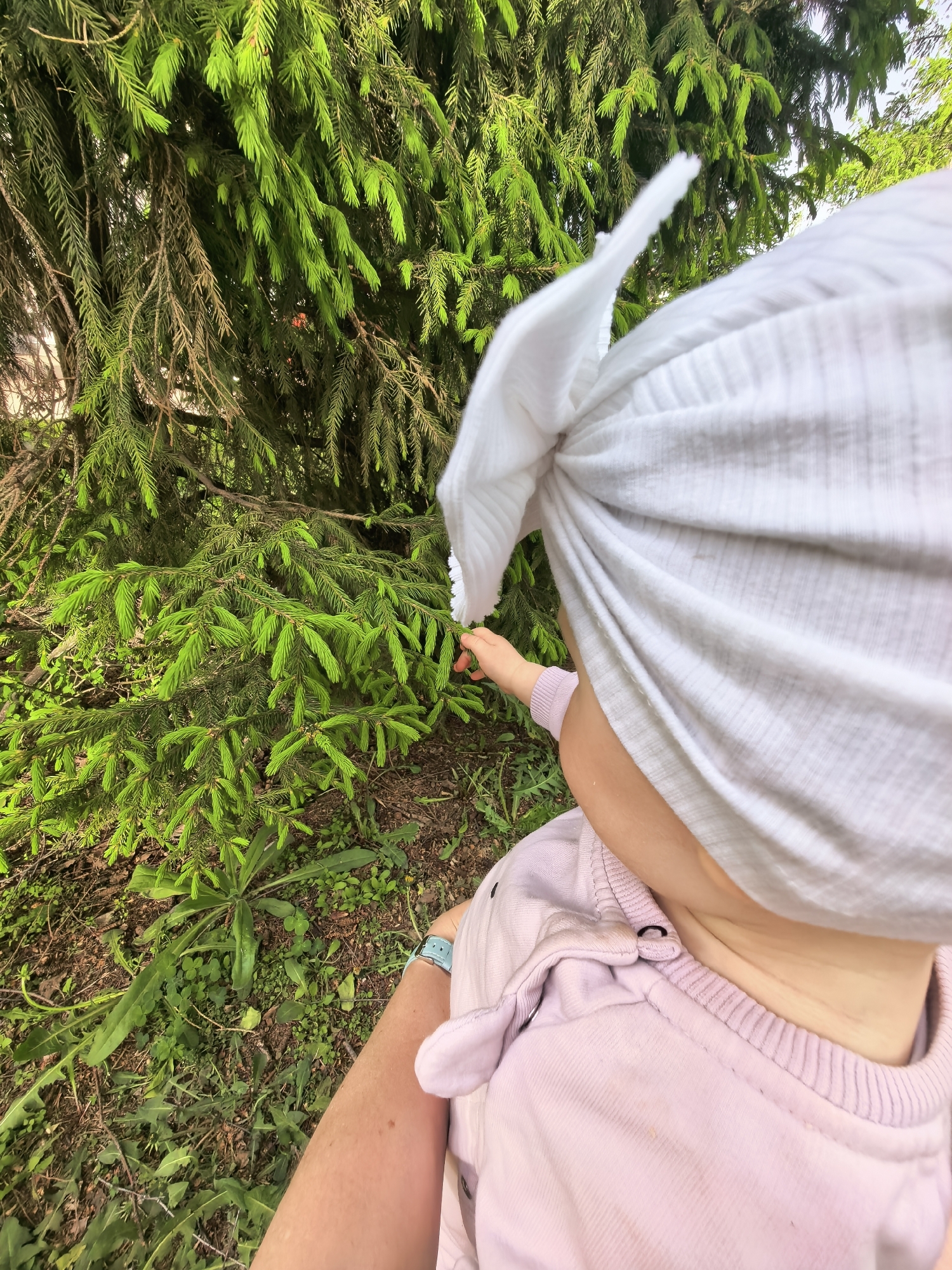 A baby in a white head covering and pink sweatshirt is held by an adult in an outdoor setting near a coniferous tree. The baby's right arm is extended, and its hand appears to be touching a branch of the tree. The adult's left arm is visible, with a blue wristwatch. Ground vegetation is visible. The location is identified as Sterlitamak, Russia.