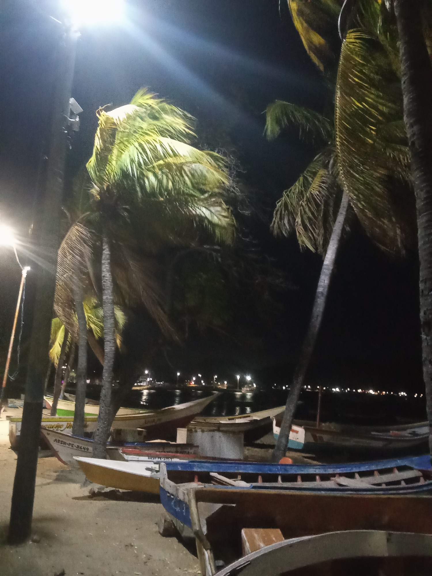 This image depicts a night scene in Juan Griego, Venezuela. Several small fishing boats are beached on the sand near a dimly lit waterfront. Palm trees sway, indicating a breeze. Streetlights illuminate the scene, creating glare. A row of distant lights mark the edge of the bay. No people are visible.