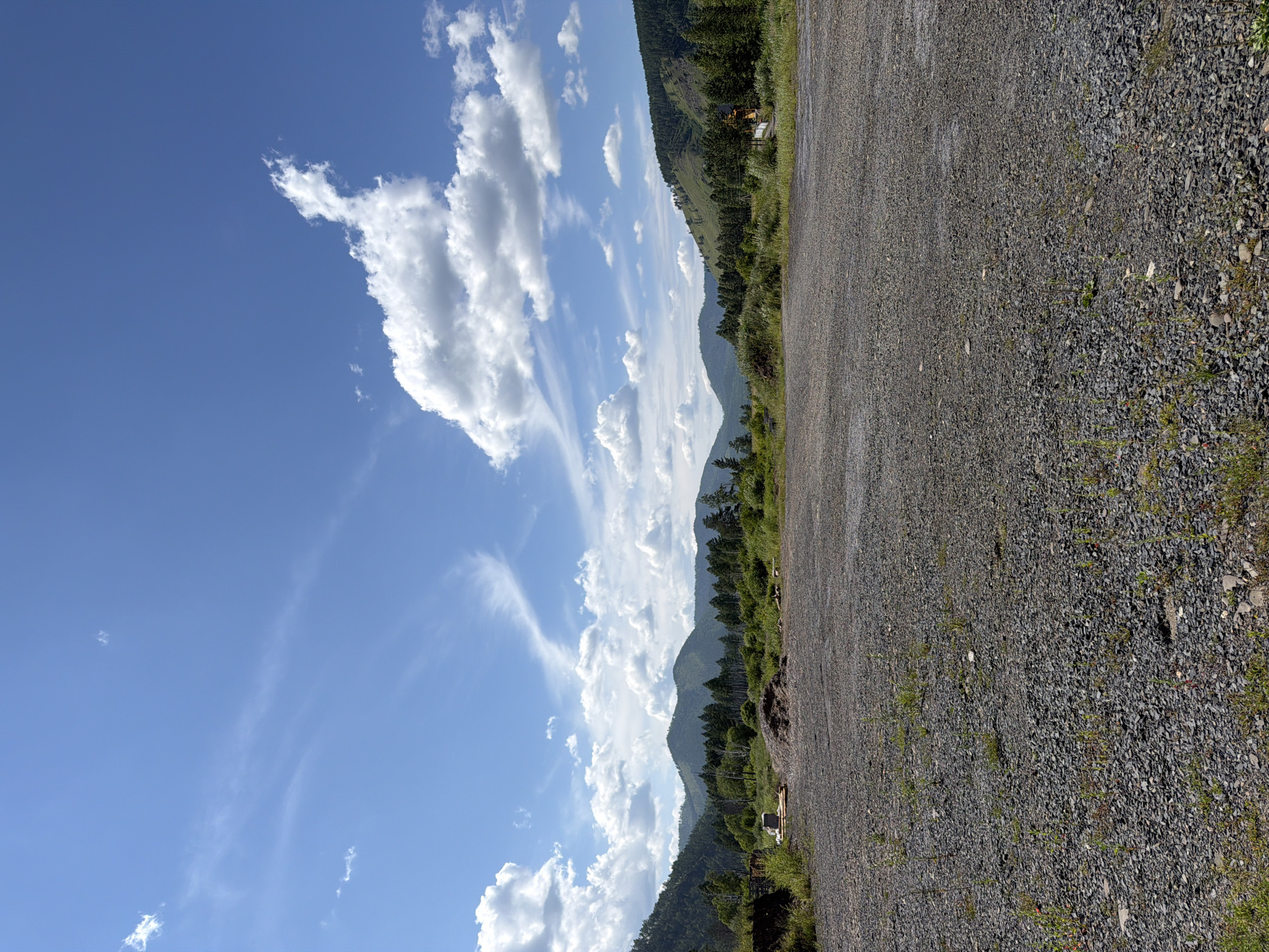 An outdoor, eye-level, vertical shot captures a landscape under a bright blue sky with scattered white clouds. The foreground is dominated by a rough, grey gravel surface with sparse green vegetation poking through. In the midground, a line of dark green coniferous trees stretches across the scene, with lighter green foliage and some bare patches visible. Beyond the trees, rolling, verdant hills rise, their slopes dotted with more trees. The sky features wispy cirrus clouds and larger cumulus formations, particularly on the right side of the frame. There are no people or animals visible in the image. The scene appears to be an undeveloped area or a clearing in a natural landscape, possibly on the outskirts of Bol'shoe Goloustnoe, Russia, given the presence of mountainous terrain and dense forestation characteristic of the region.
