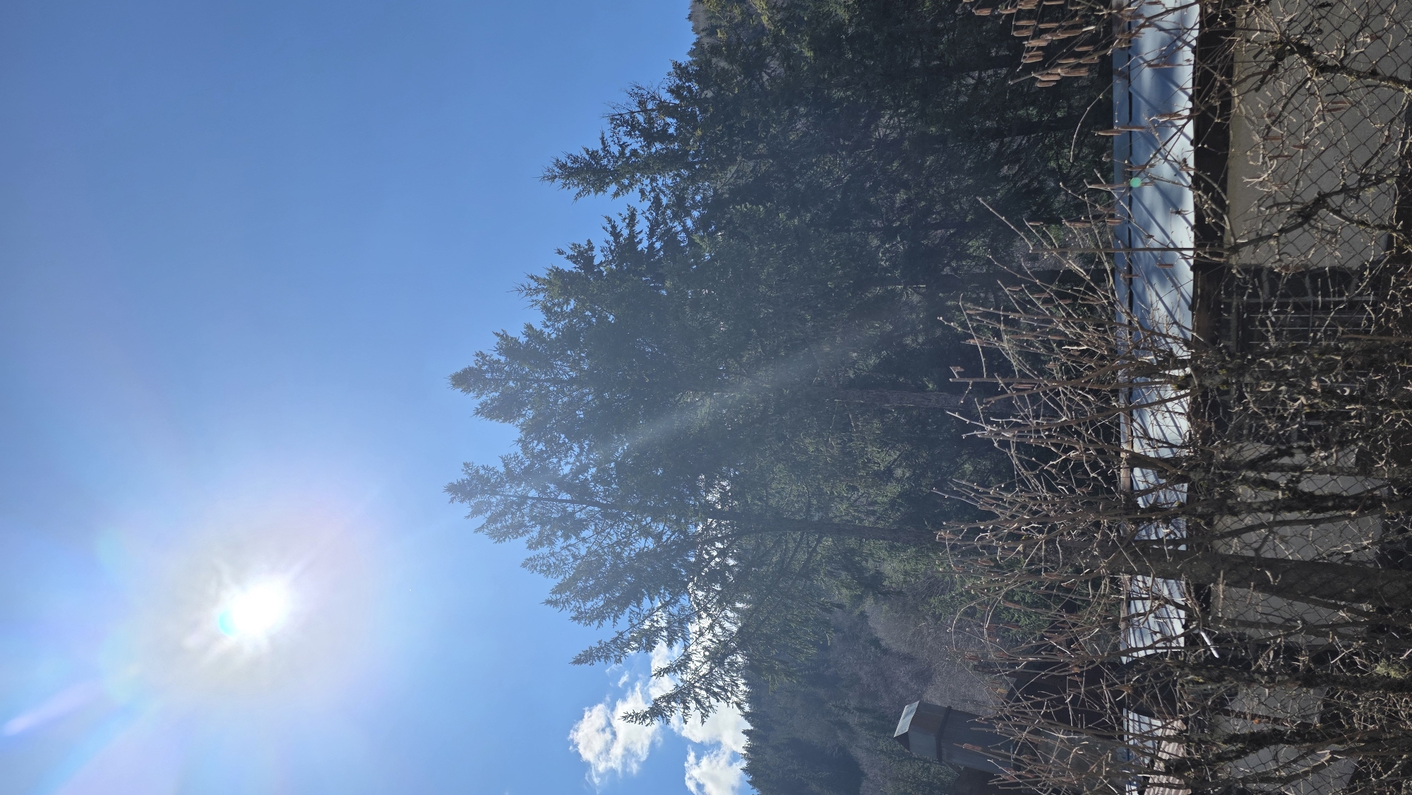 The image, taken in Blagoevgrad, Bulgaria, shows a bright, sunny sky with scattered clouds. The sun is visible in the lower left portion of the frame, causing lens flare. A tall evergreen tree is centrally located, partially obstructing the view of the blue sky. To the right, a building with light-colored siding and windows is partially visible, obscured by bare branches. A chain-link fence runs along the right edge of the frame. The image is rotated counterclockwise.