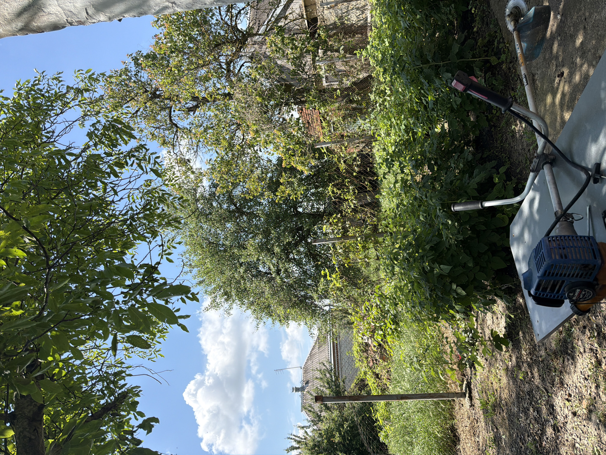 This image depicts a sun-drenched yard with lush green foliage under a bright blue sky with scattered white clouds. In the foreground, a string trimmer is placed on a flat surface, its blue engine unit clearly visible. Behind it, dense green bushes and trees create a natural barrier. Further back, a rustic house with a tiled roof and an antenna stands partially obscured by the vegetation. A weathered fence runs across the scene, separating the yard from the surrounding area. The overall impression is one of a peaceful, rural setting, possibly a backyard in the city of Komsomolskiy, Russia.