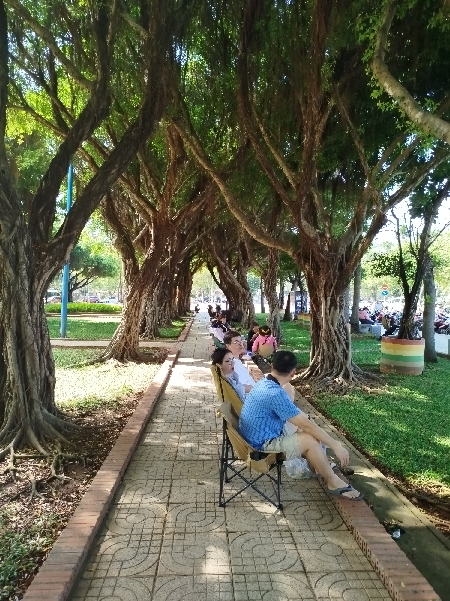The image shows a pathway lined with a row of mature banyan trees with thick, gnarled trunks and aerial roots, creating a shaded tunnel. The trees are planted on either side of the walkway. People are seated in chairs along the pathway, seemingly relaxing or resting. A man in a blue shirt and tan shorts is sitting in a camping chair, facing away from the camera. Another person is seated next to him. Other people are seated further down the path under the canopy of the trees. On the right, there is a grassy area, some of which is contained in a colorful painted container near other seated people, motorcycles, and trees. In the background, glimpses of city life can be seen, suggesting an urban park location. This is a common scene in Ho Chi Minh City, Vietnam, where public parks often feature large banyan trees.