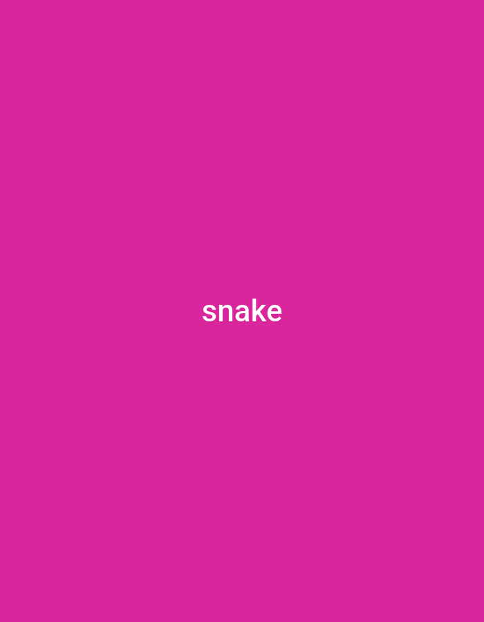 The image is a digital graphic featuring the word "snake" written in white, sans-serif text. The text is centered horizontally and vertically on a solid, vibrant magenta background. There are no other discernible subjects, objects, or scene elements present in the image. The graphic appears to be purely typographic. No specific activity or event is taking place, and there are no details regarding time of day, weather, or location cues. The emotion conveyed is neutral due to the absence of any visual context beyond the text itself. The only visible text is the word "snake."