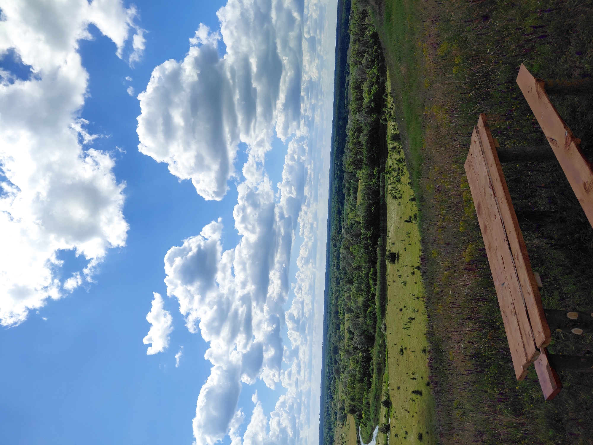 A wooden picnic table is positioned in the foreground of a landscape view, with its surface angled towards the viewer. The table is made of rough-hewn wooden planks, supported by logs. Behind the table, a grassy slope covered with wildflowers descends into a valley. The valley is filled with a variety of trees and vegetation, with a winding river visible in the distance. The sky above is a vibrant blue, dotted with fluffy white cumulus clouds. The image appears to be taken on a clear, sunny day. The scene is located in the city of Ustyvytsia, Ukraine.