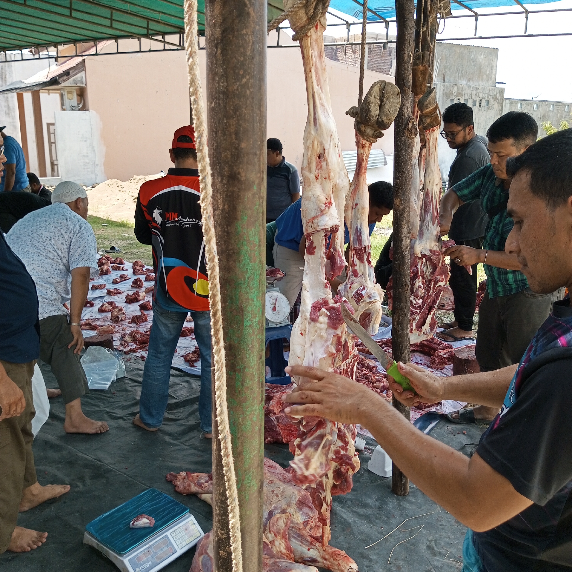 In Lhokseumawe, Indonesia, under a makeshift shelter with a blue tarp roof, several men are butchering animal carcasses. At least three carcasses hang from wooden posts and ropes. Men are cutting the meat with knives, and pieces of meat are scattered on a large black tarp on the ground. Some men are barefoot. A white scale sits on the ground amidst the meat. Buildings are visible in the background.