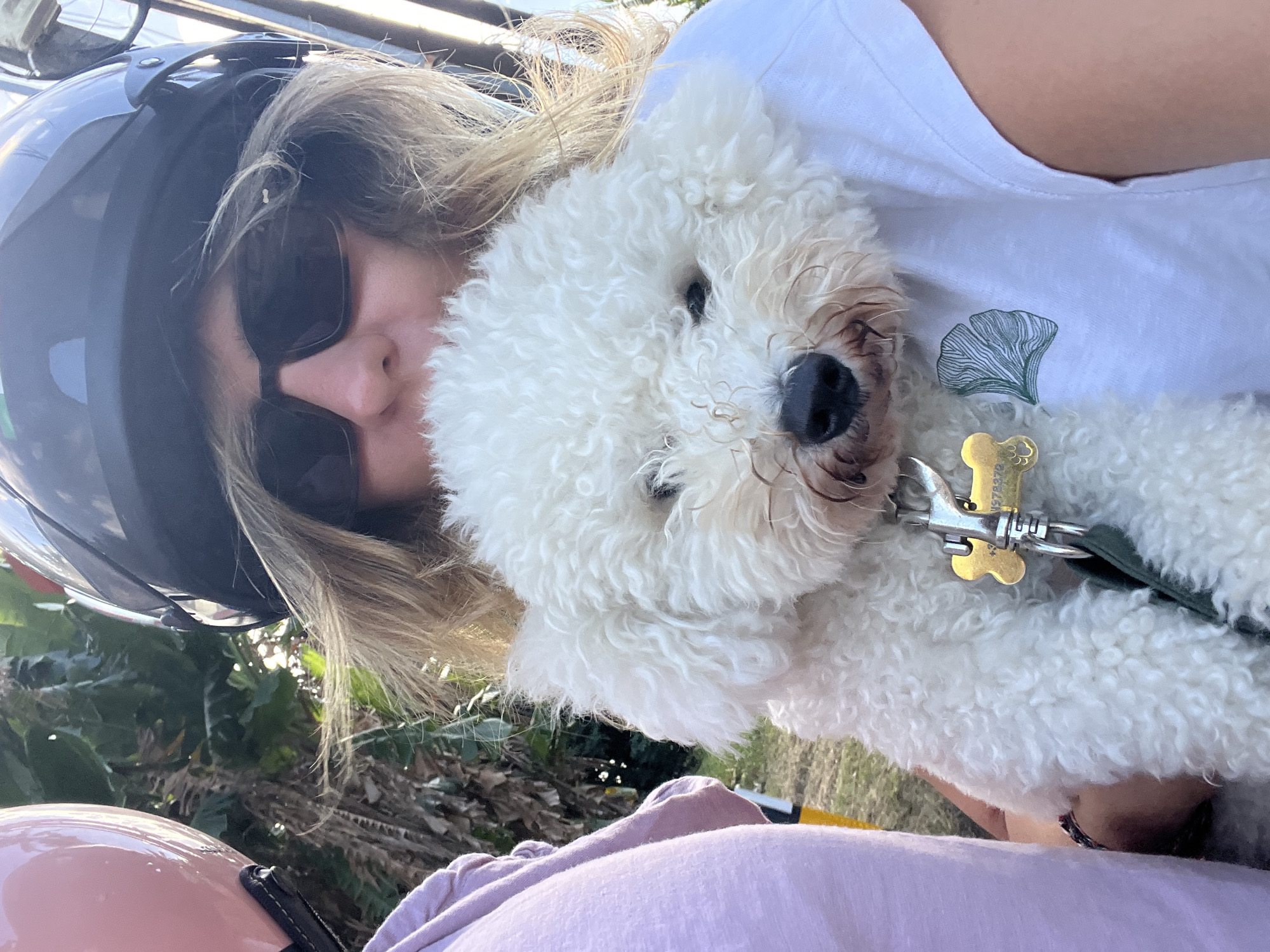 The image shows a close-up of a woman holding a white, fluffy dog. Both the woman and the dog are wearing helmets, suggesting they are on a motorcycle or similar vehicle. The woman is wearing sunglasses and a white t-shirt with a green leaf design. The dog has a tag around its neck that reads "978370". In the background, there are green plants and sunlight. The scene appears to be outdoors, possibly in a tropical or subtropical environment. There is no indication of Kediri, Indonesia in the image.