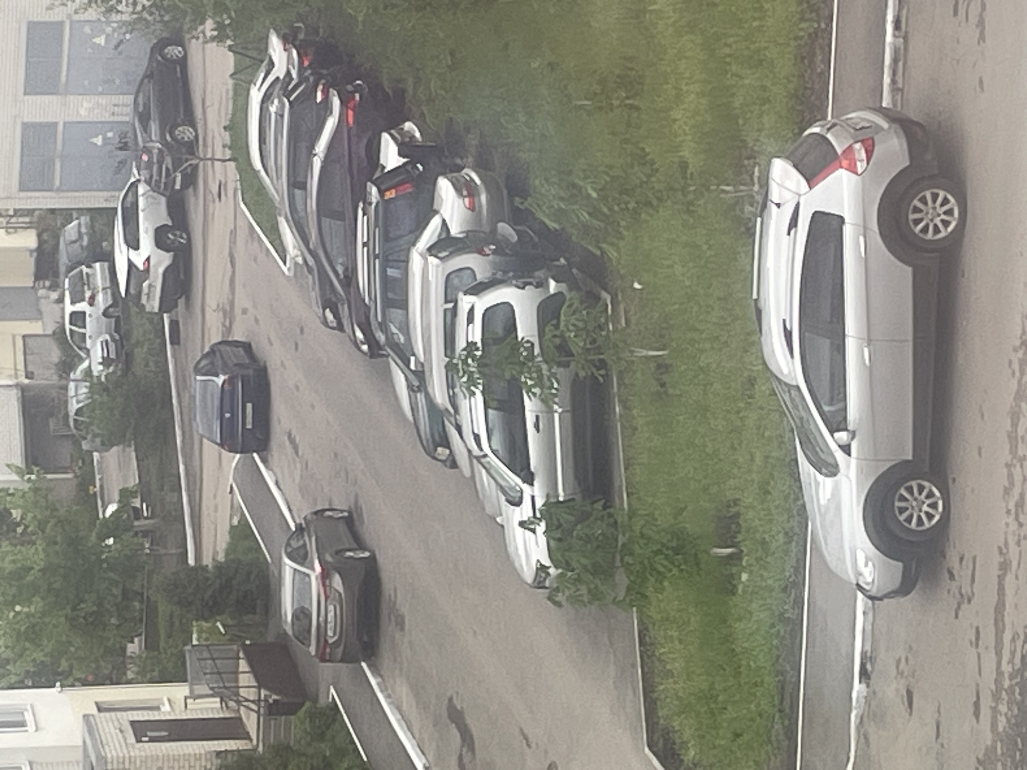 The image shows a street scene in Saratov, Russia, with multiple cars parked along the roadside. A silver car is parked close to the right edge of the frame. Several other vehicles, primarily various shades of white, gray, and dark hues, are parked in a row along the opposite side of the street. The cars are positioned adjacent to a patch of green grass. Buildings are visible in the background. The street is paved and appears to be wet. No people are visible in the picture.