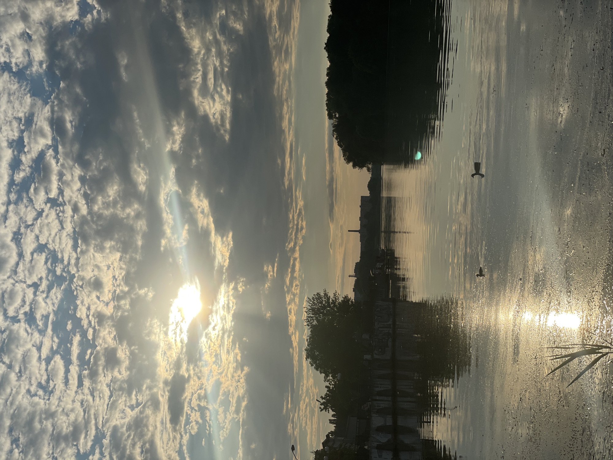 This is a vertical, eye-level, medium shot of a scenic body of water, likely a river or lake, at sunrise. The sun is low on the horizon, casting a warm, golden light that reflects beautifully on the water's surface, creating shimmering patterns and highlighting the ripples. Streaks of light are visible, piercing through dramatic, grey and white clouds.
The scene is divided into two main parts: the sky and the water. The sky is filled with textured clouds, some dark and ominous, others bright and illuminated by the sun. The water reflects the sky and the distant landscape. On the left side of the frame, a silhouette of trees and buildings forms the background. The reflection of a tree line and urban structures can be seen on the water's surface. Two birds are visible in flight, one in the middle distance and another closer to the foreground, adding a sense of life to the serene setting.
The overall mood is tranquil and contemplative, with the rising sun suggesting a new beginning. The location is Khmelnytskyi, Ukraine. The time of day is clearly sunrise, indicated by the low angle of the sun and the warm, soft light. The weather appears to be partly cloudy, with dramatic cloud formations. There is some visible graffiti on a structure along the water's edge, but the text is not legible.