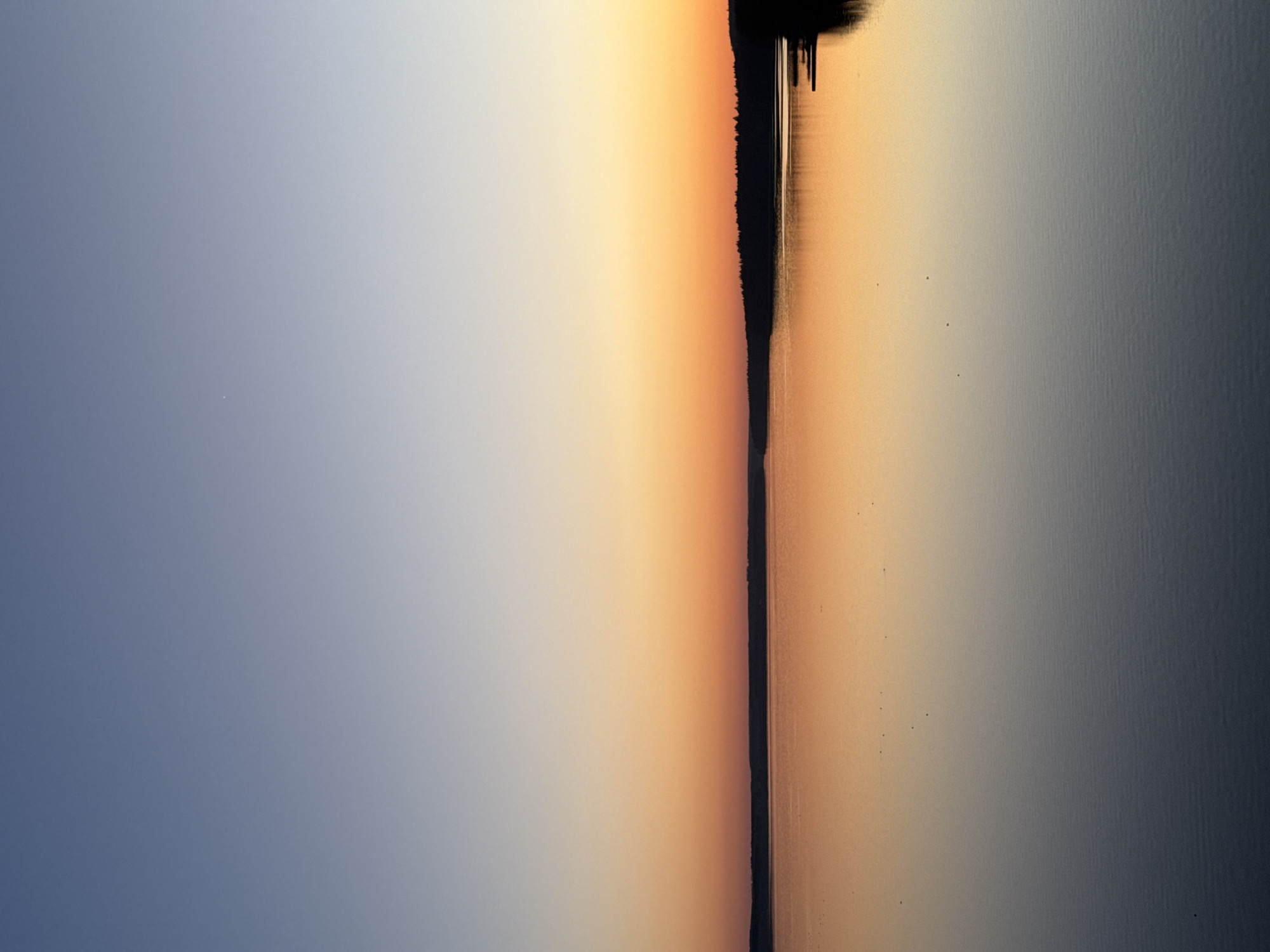 The image shows a landscape view with a striking division in the frame. On the left, a pale blue sky gradually blends into a warmer, orange hue. A dark, silhouetted treeline runs vertically down the center, with its reflection mirroring on the right side of the image, where the sky's reflection transitions into a dark gray, possibly representing water. The scene appears to be at dusk or dawn due to the gradient of light. There are a few tiny dark spots that seem to float above the water on the right side of the treeline. The location is Votkinsk, Russia.