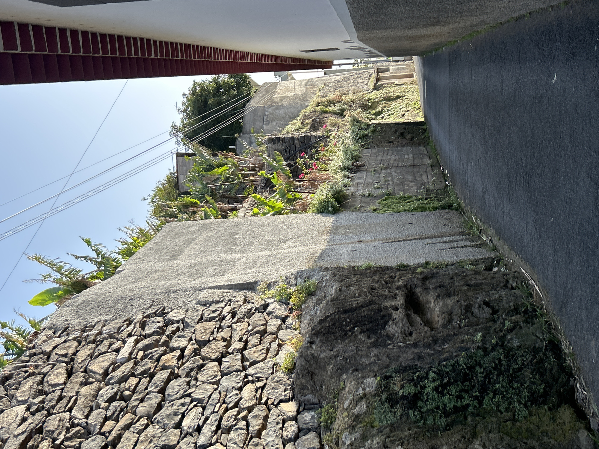 A narrow pedestrian passage is shown in Câmara de Lobos, Portugal. The passage is bordered by walls of various materials and construction styles. On the left, the wall is composed of dry-stacked stones topped with a gray concrete barrier. A large, moss-covered boulder is embedded into the structure. Vegetation sprouts from the top of the wall. On the right, a dark gray paved walkway ascends slightly, bordered by a retaining wall composed of concrete sections covered with vegetation. Above and beyond the retaining wall, the landscape is stepped with levels supported by concrete and stone. Vegetation, including banana plants, adorns these levels. Overhead, white and red buildings confine the view of the sky, and overhead power lines are visible.