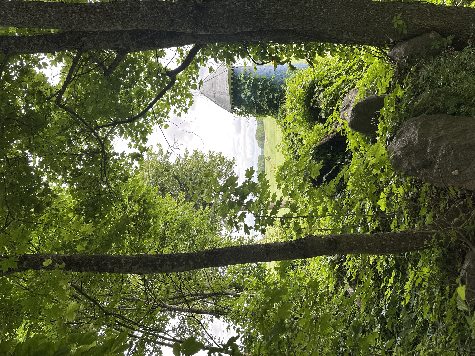 The image depicts a lush, green forest scene with a blue, conical-roofed tower partially visible through the foliage. The tower is covered in ivy and appears to be a man-made structure, possibly a silo or a small observatory, set within a rural landscape. In the background, a rolling green field stretches towards a treeline under a cloudy sky. Large rocks and dense undergrowth surround the base of the tower, further emphasizing the natural setting. The overall impression is one of overgrown nature reclaiming a man-made element. The location is specified as Хаценчыцкі сельскі Савет, Belarus. There are no people or animals present in the image, and no actions or interactions are taking place. The scene is static and focuses on the interplay between the natural environment and the solitary tower.